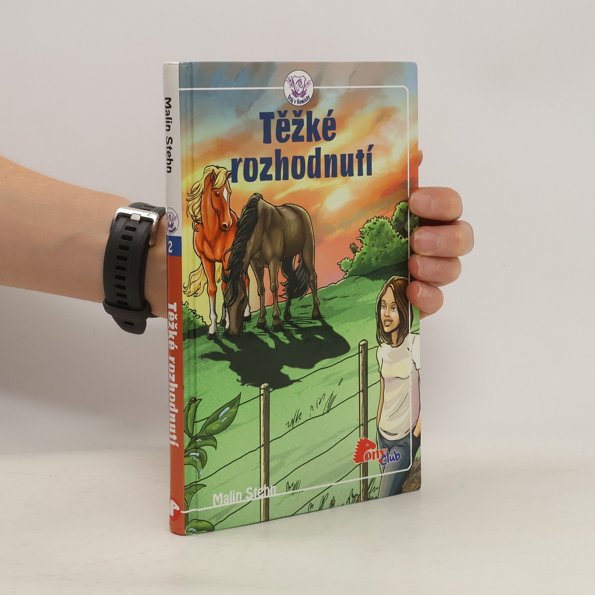 Malin Stehn Těžké rozhodnutí
