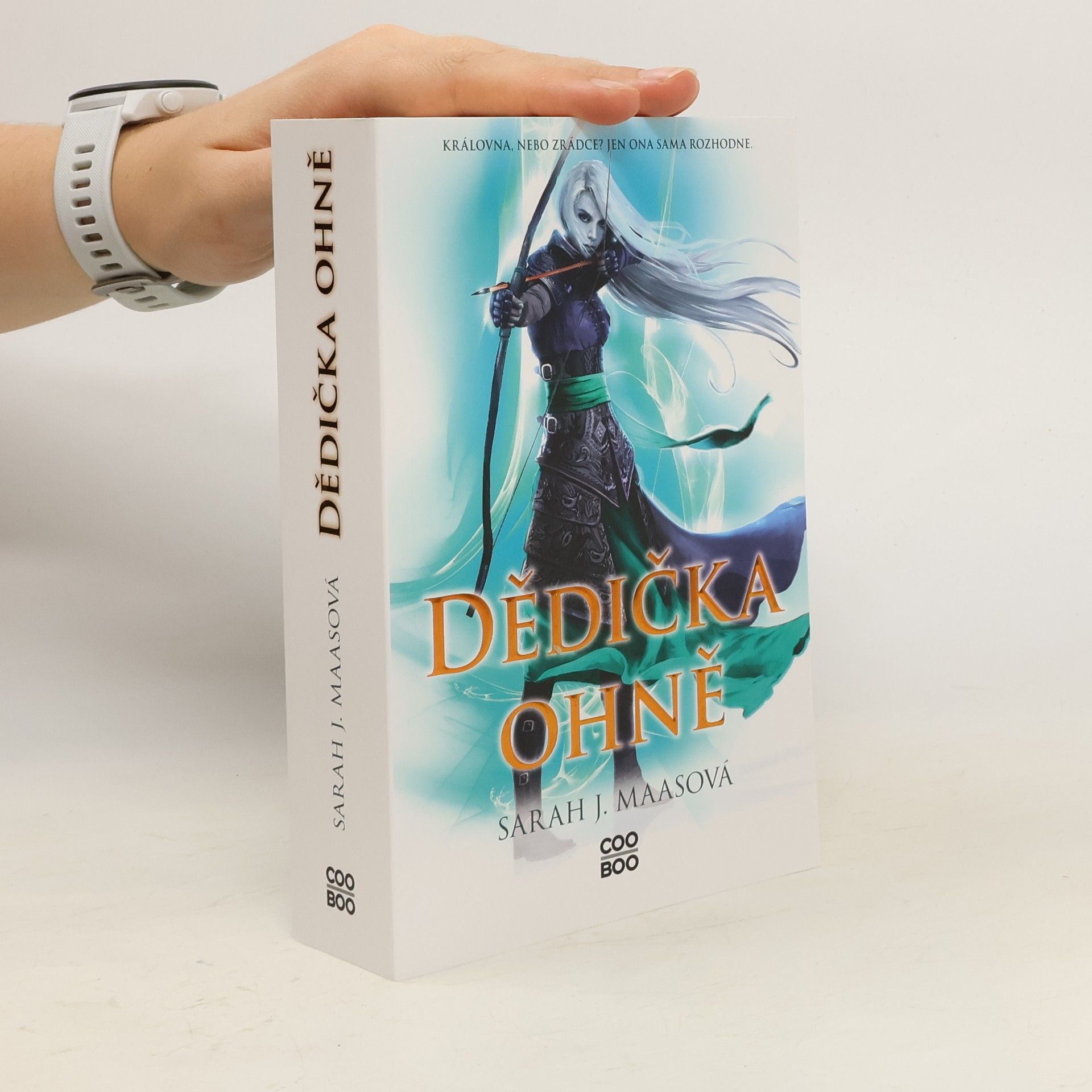 Sarah J. Maas Dědička ohně