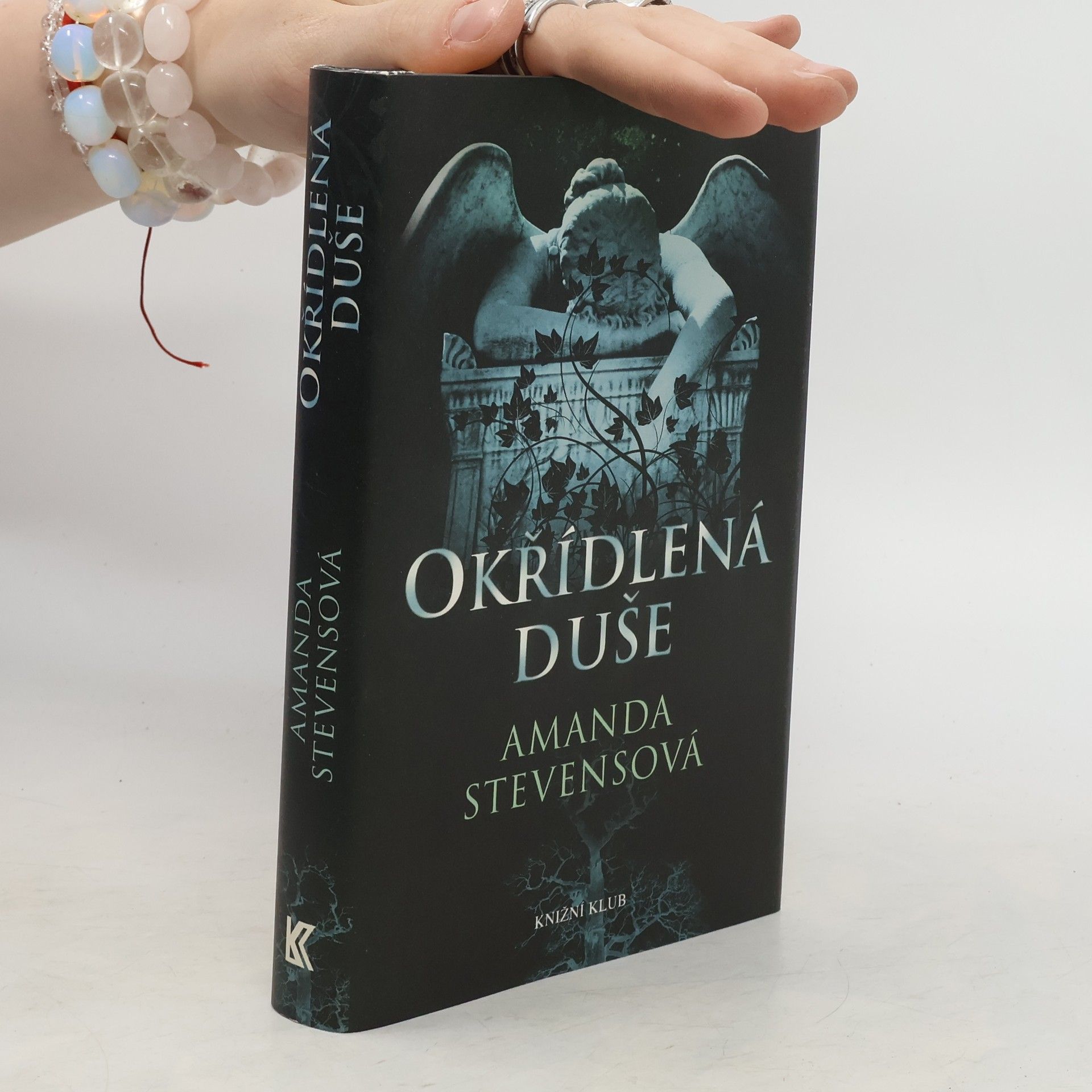 Amanda Stevens Okřídlená duše