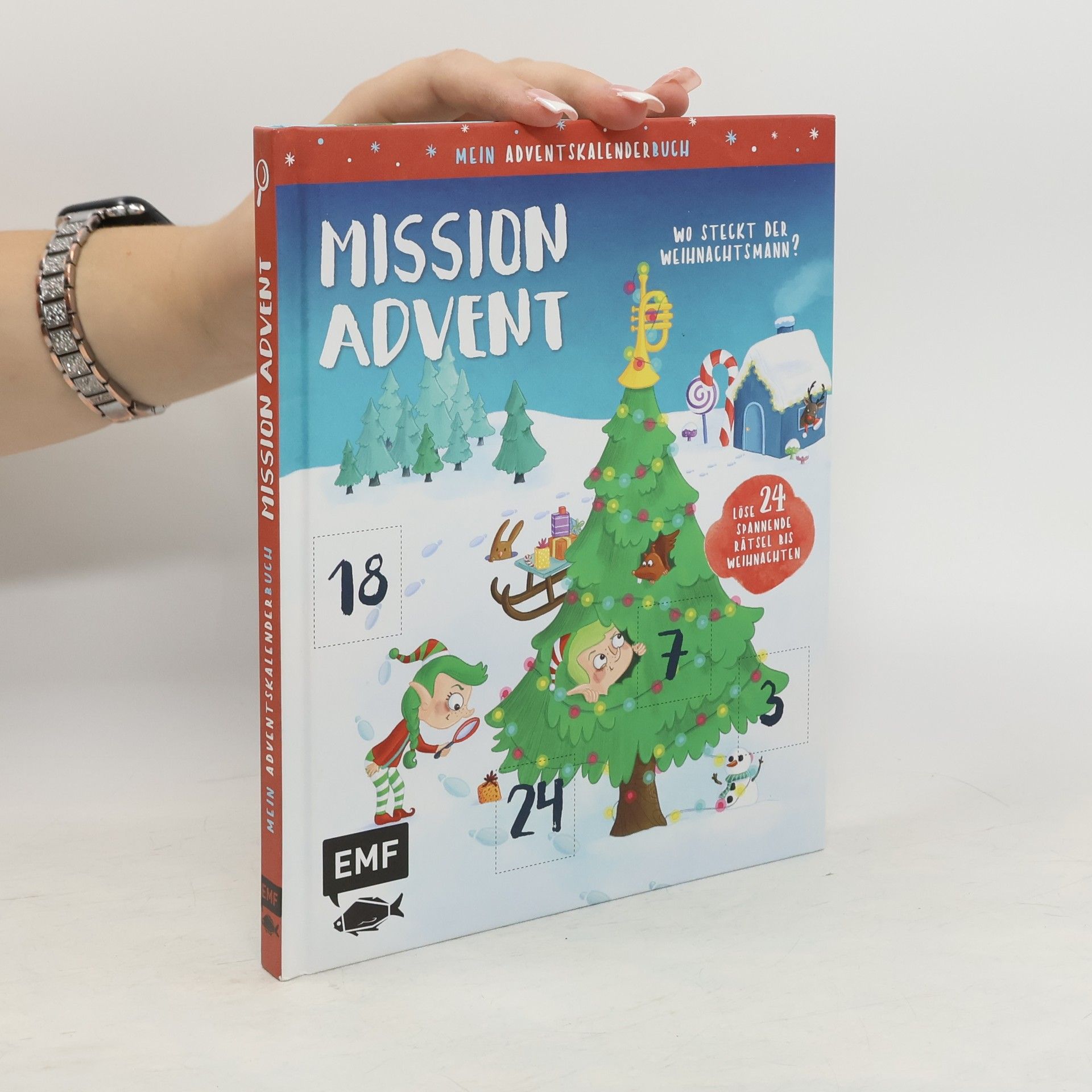 unbekannt Mein Adventskalender-Buch: Mission Advent - Wo steckt der Weihnachtsmann?