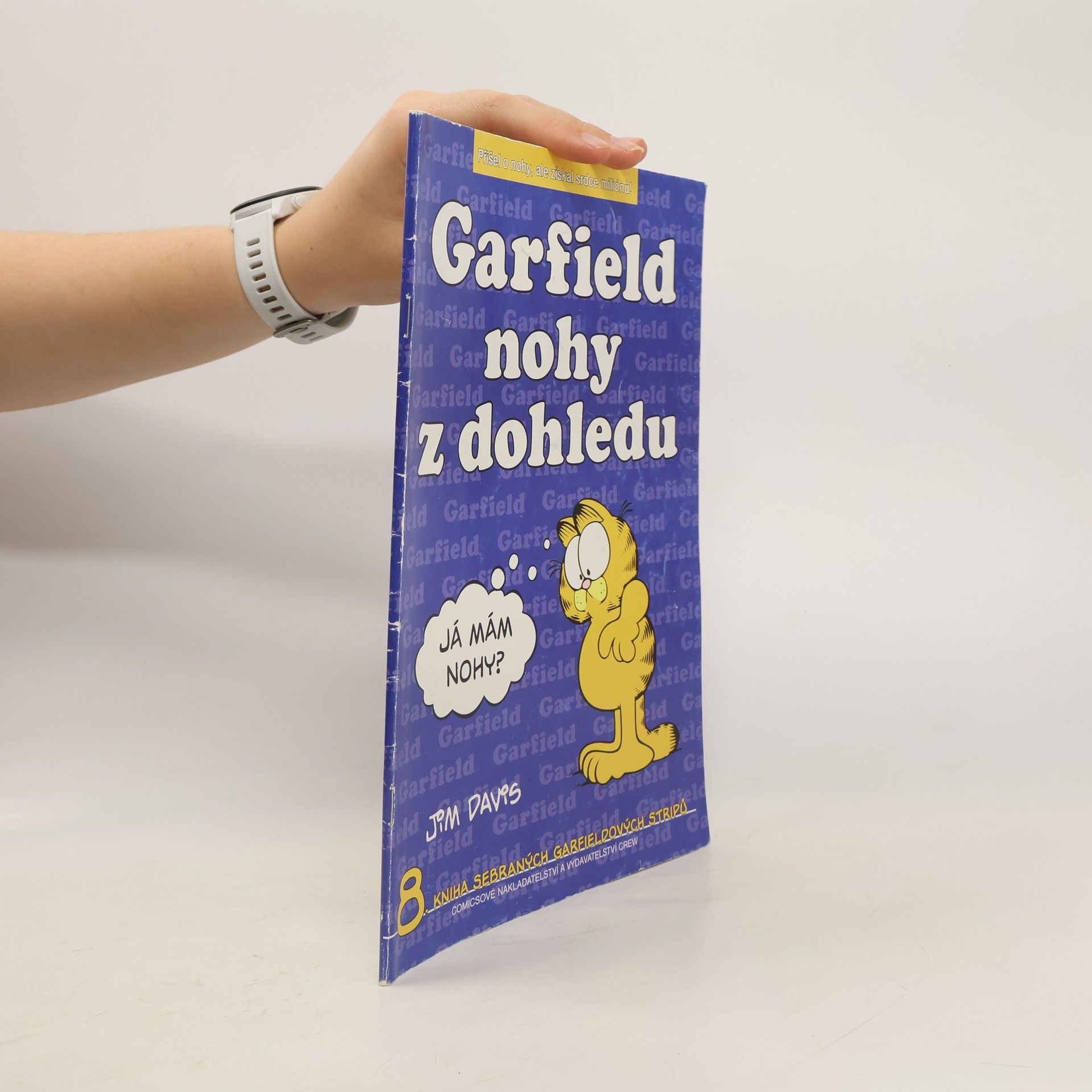 Jim Davis Garfield. Nohy z dohledu
