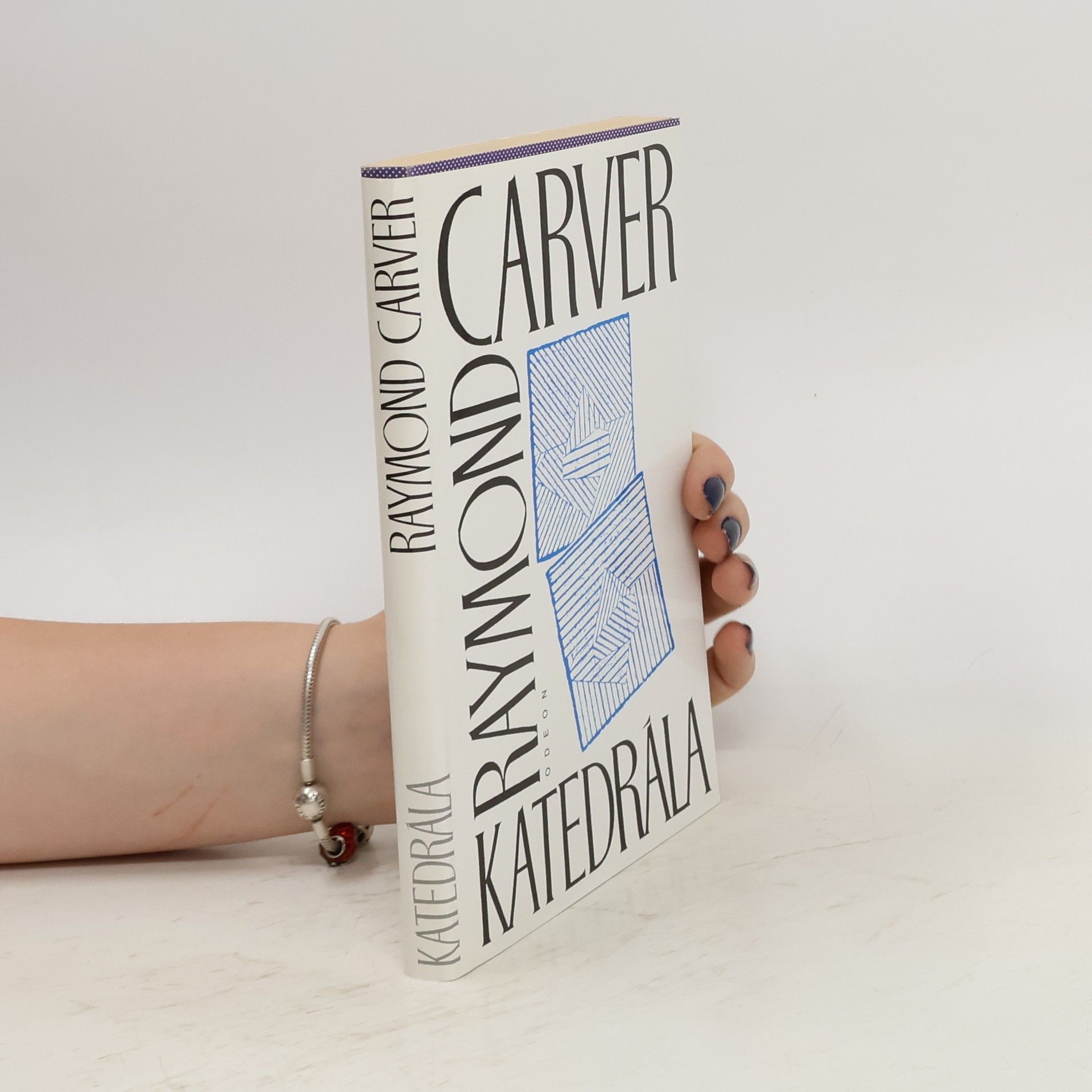 Raymond Carver Katedrála (a jiné povídky)