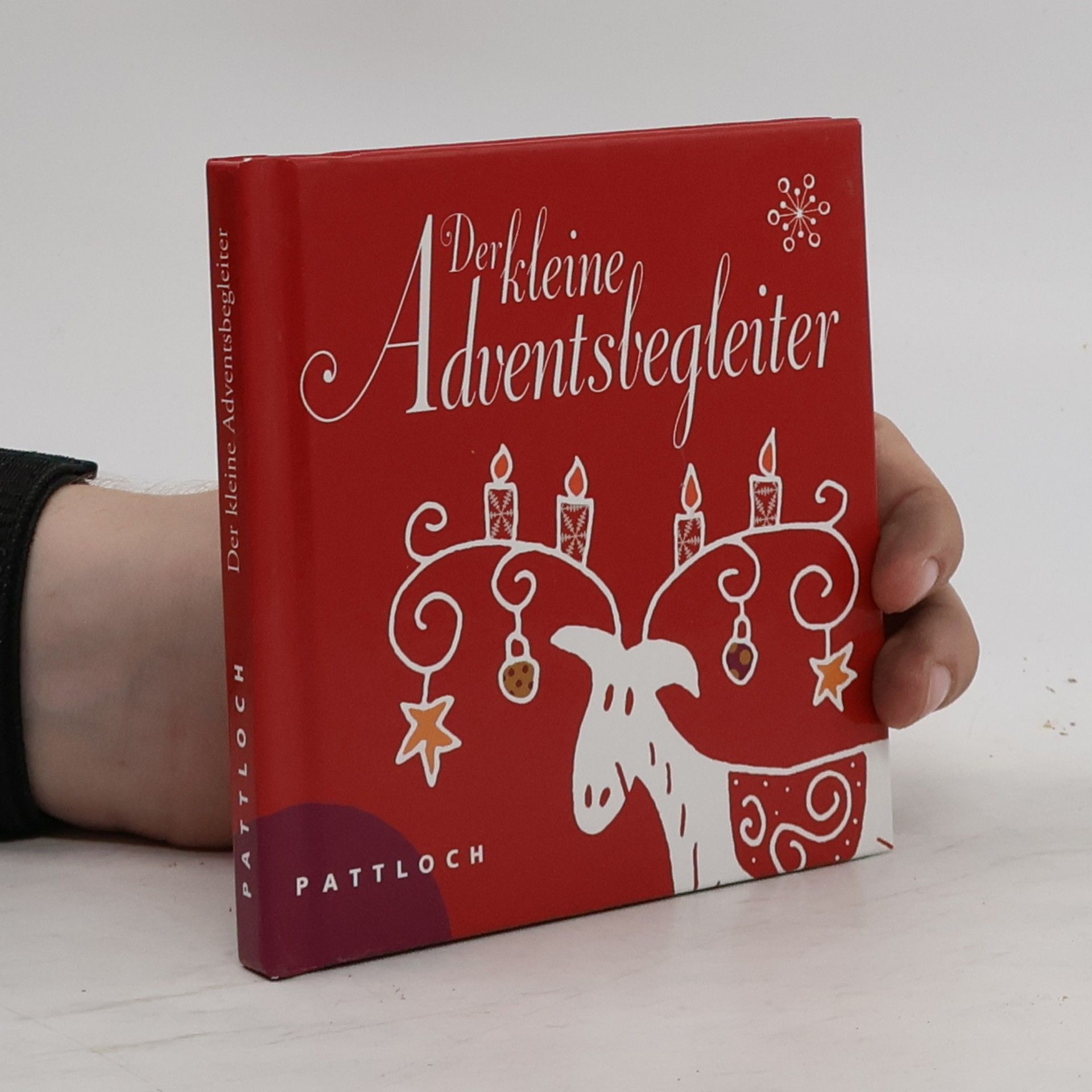 Christine Rechl Der kleine Adventsbegleiter