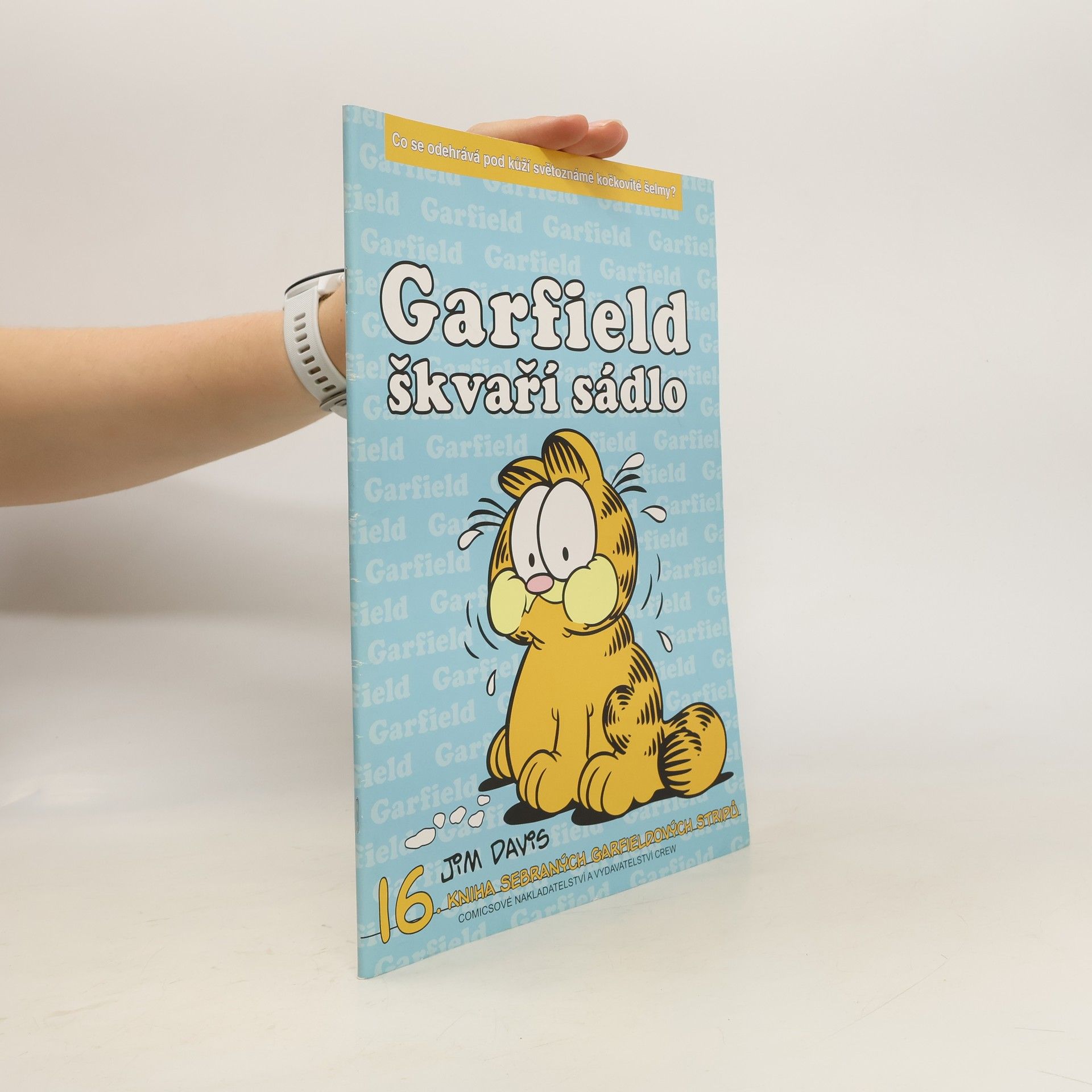 Jim Davis Garfield škvaří sádlo