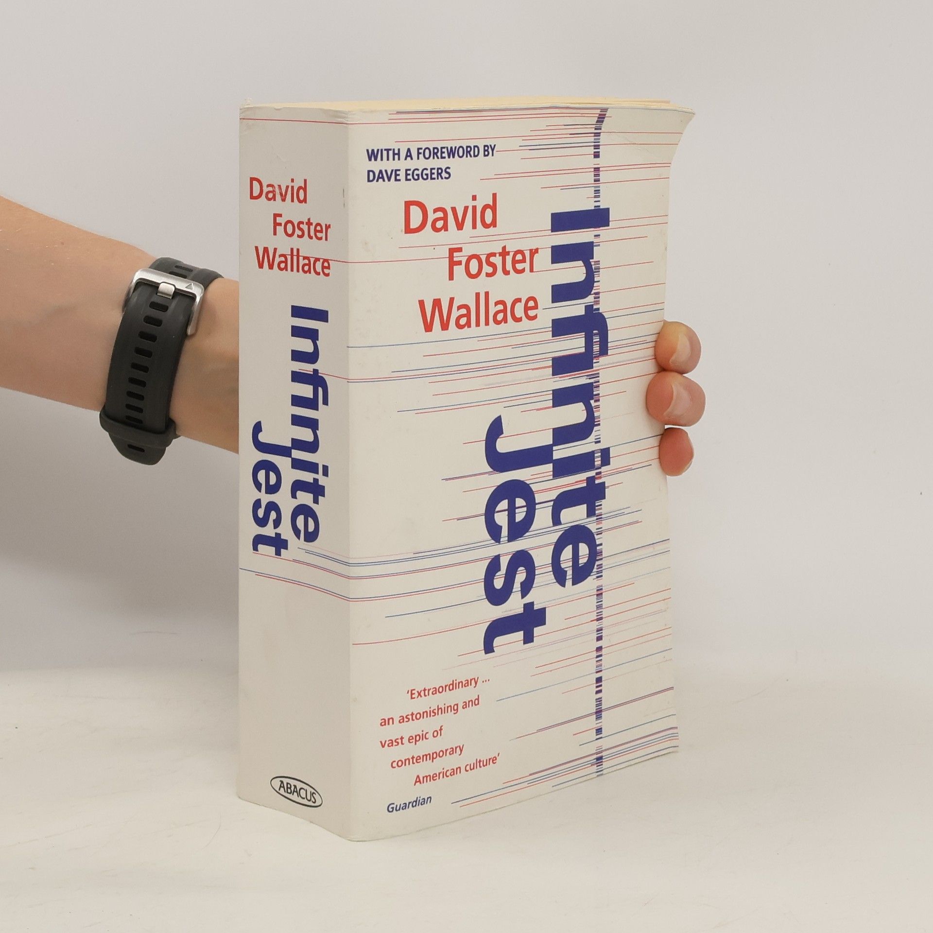 David Foster Wallace Infinite Jest