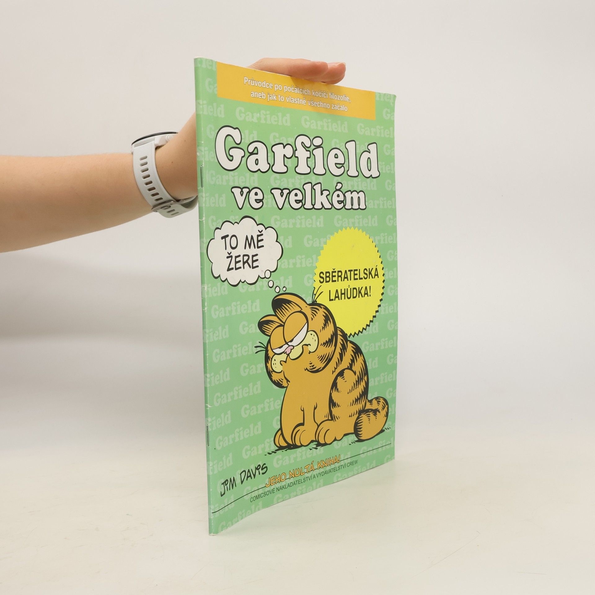 Jim Davis Garfield ve velkém