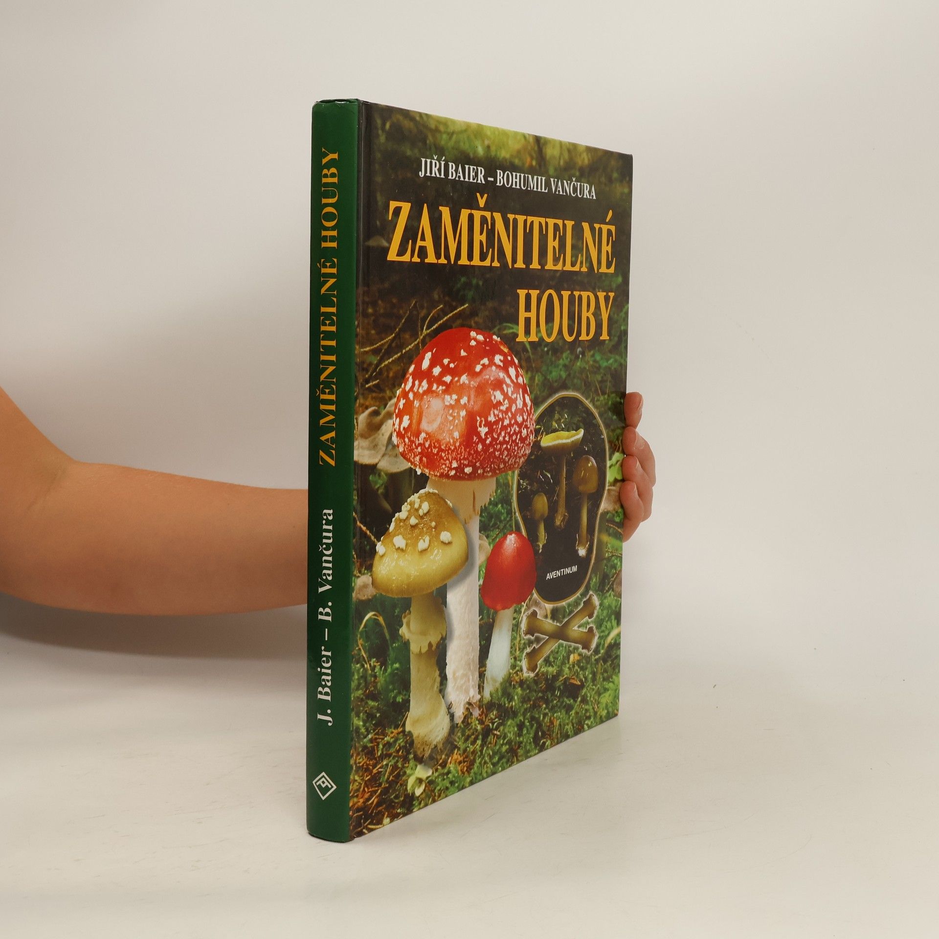 Jiři Baier Zaměnitelné houby