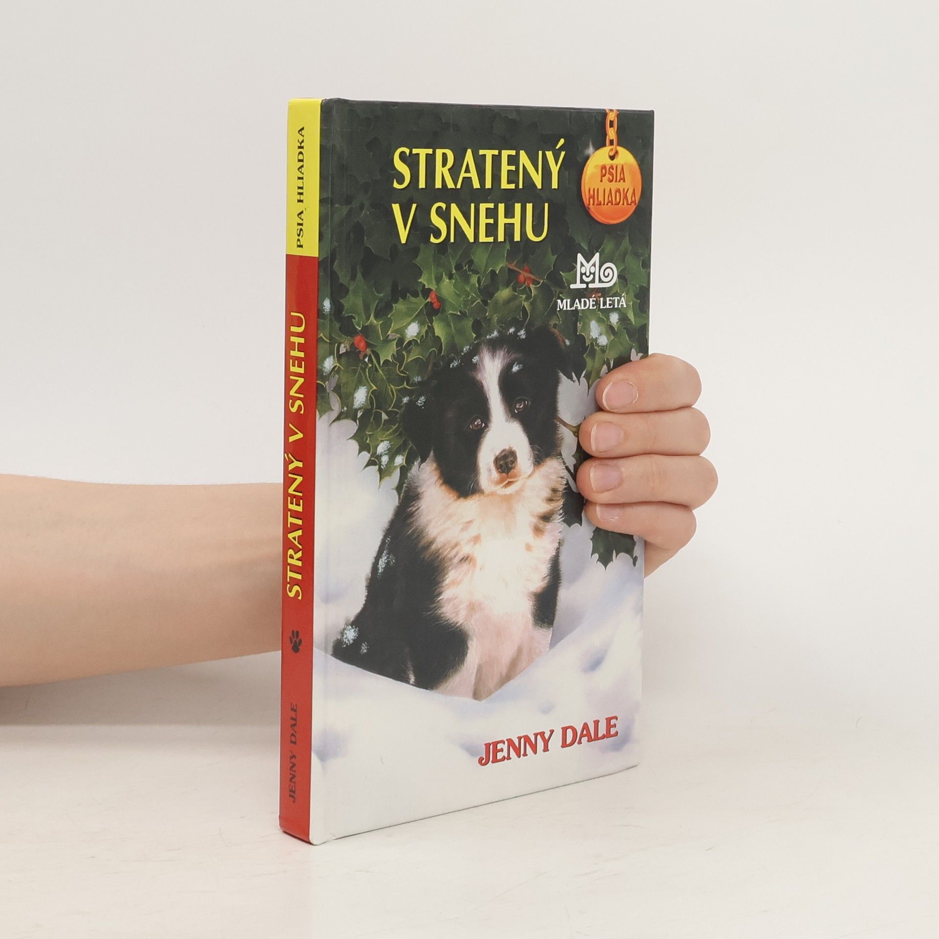 Linda Chapman Stratený v snehu