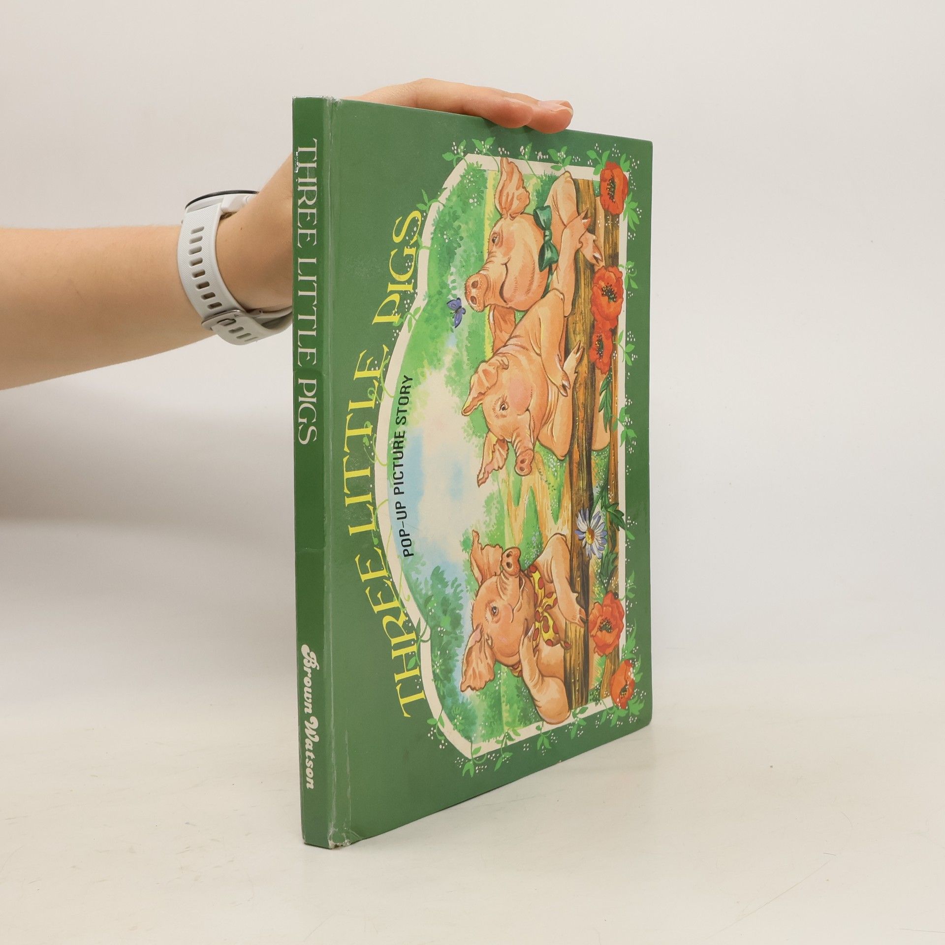 Pamela Storey The Three Little Pigs (pop - Up Storybook)