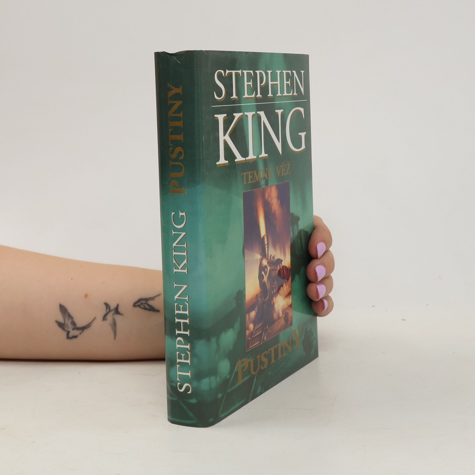 Stephen King Temná věž. Pustiny