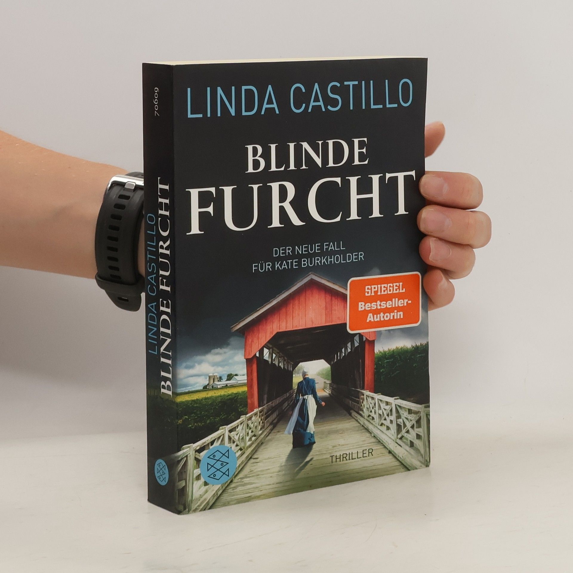 Linda Castillo Blinde Furcht