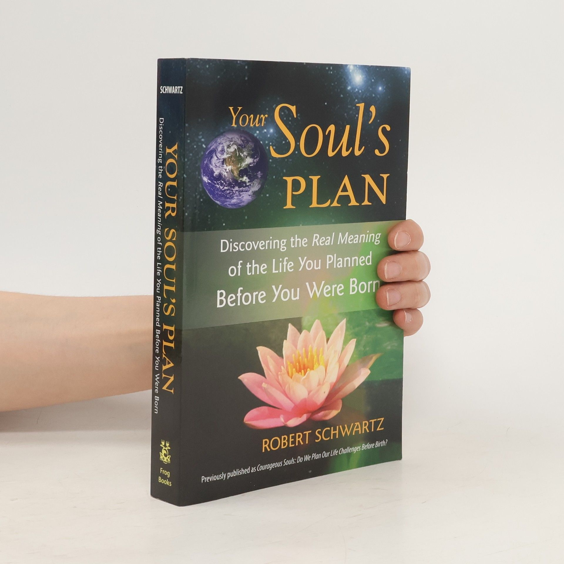 Robert Schwartz Your Soul's Plan