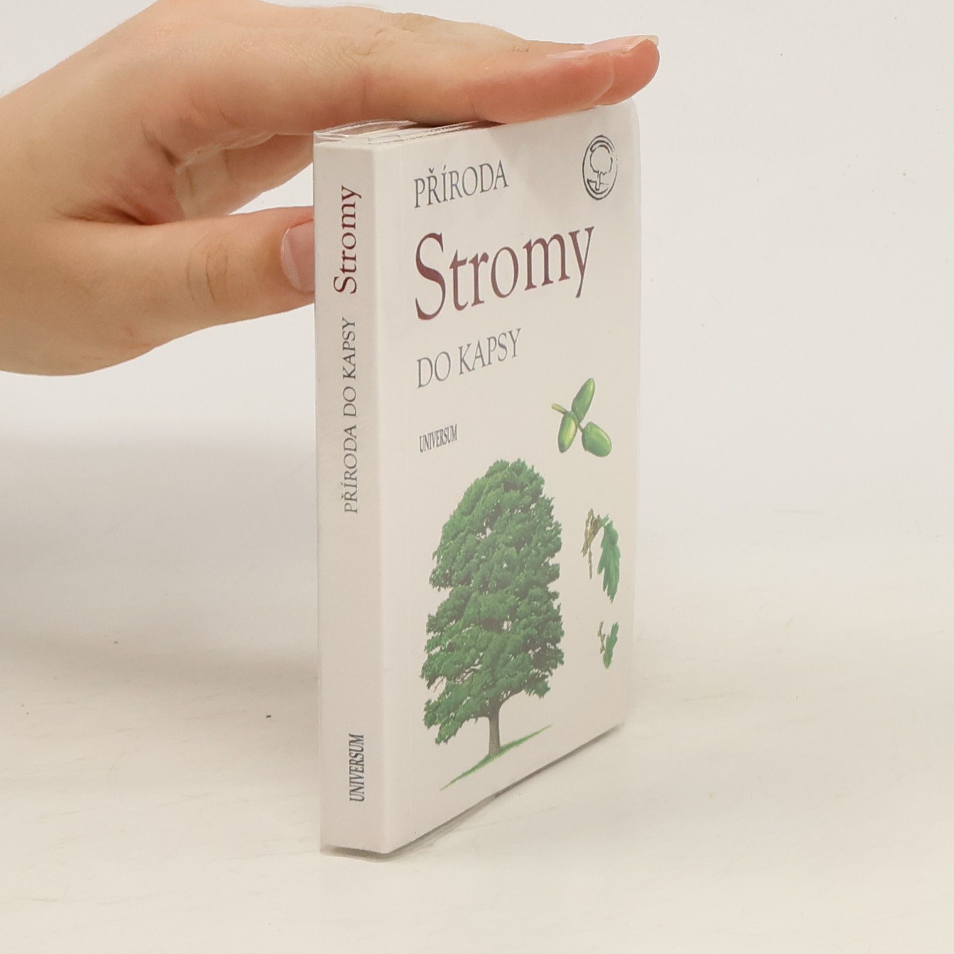kolektiv Stromy