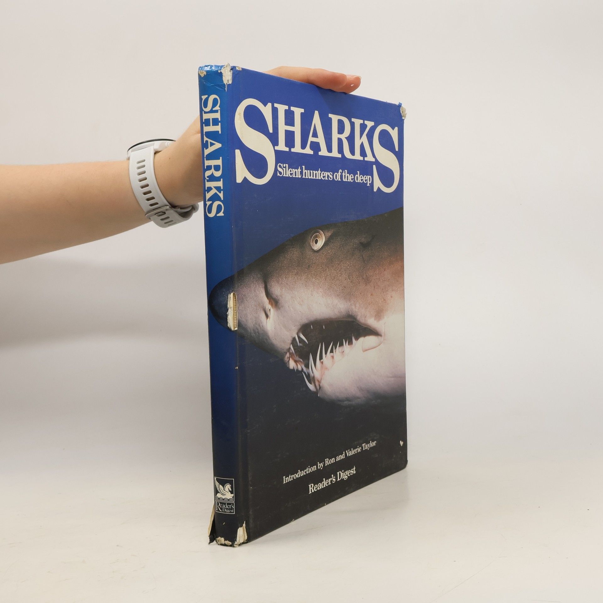 Ronald Taylor Sharks