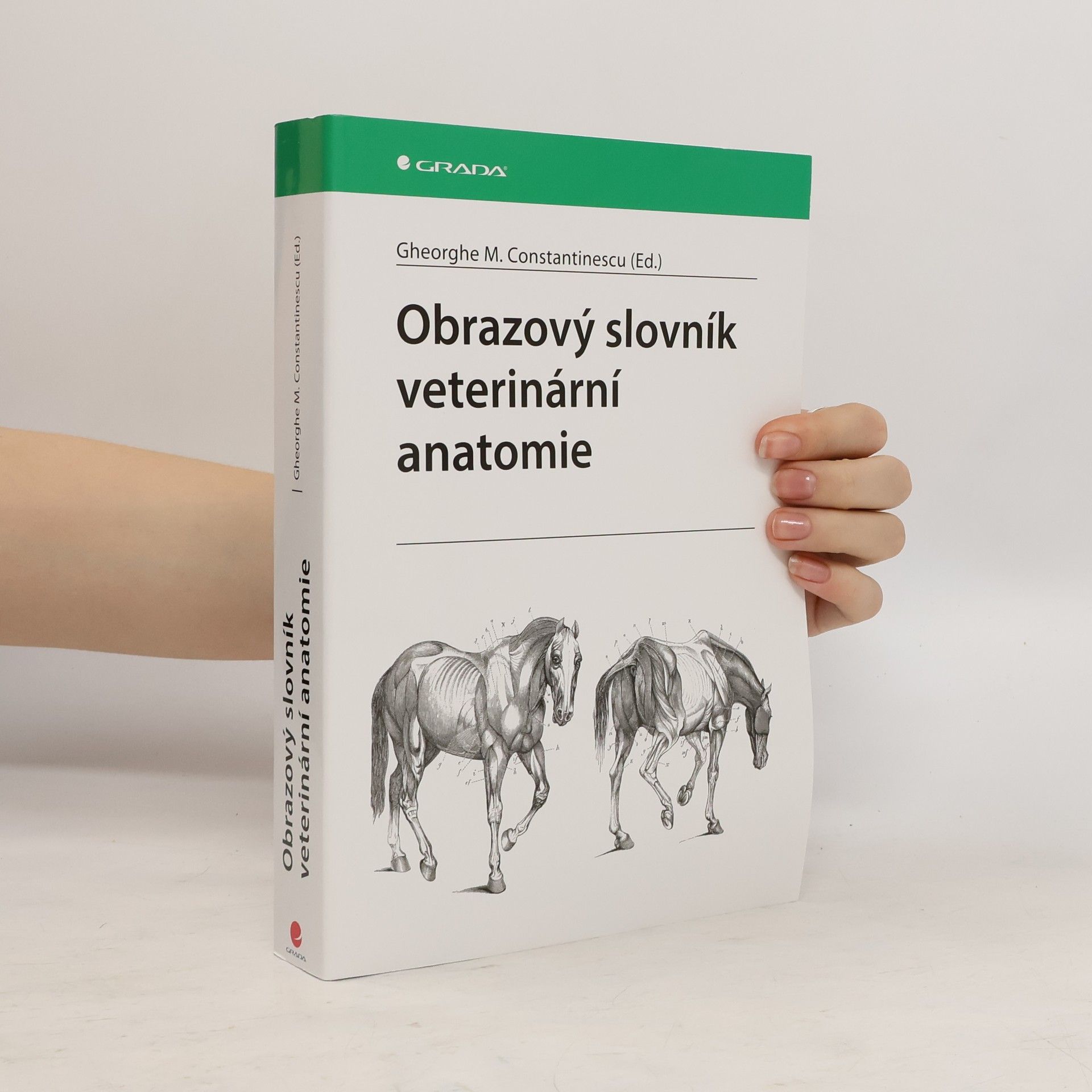 Gheorghe M. Constantinescu Obrazový slovník veterinární anatomie