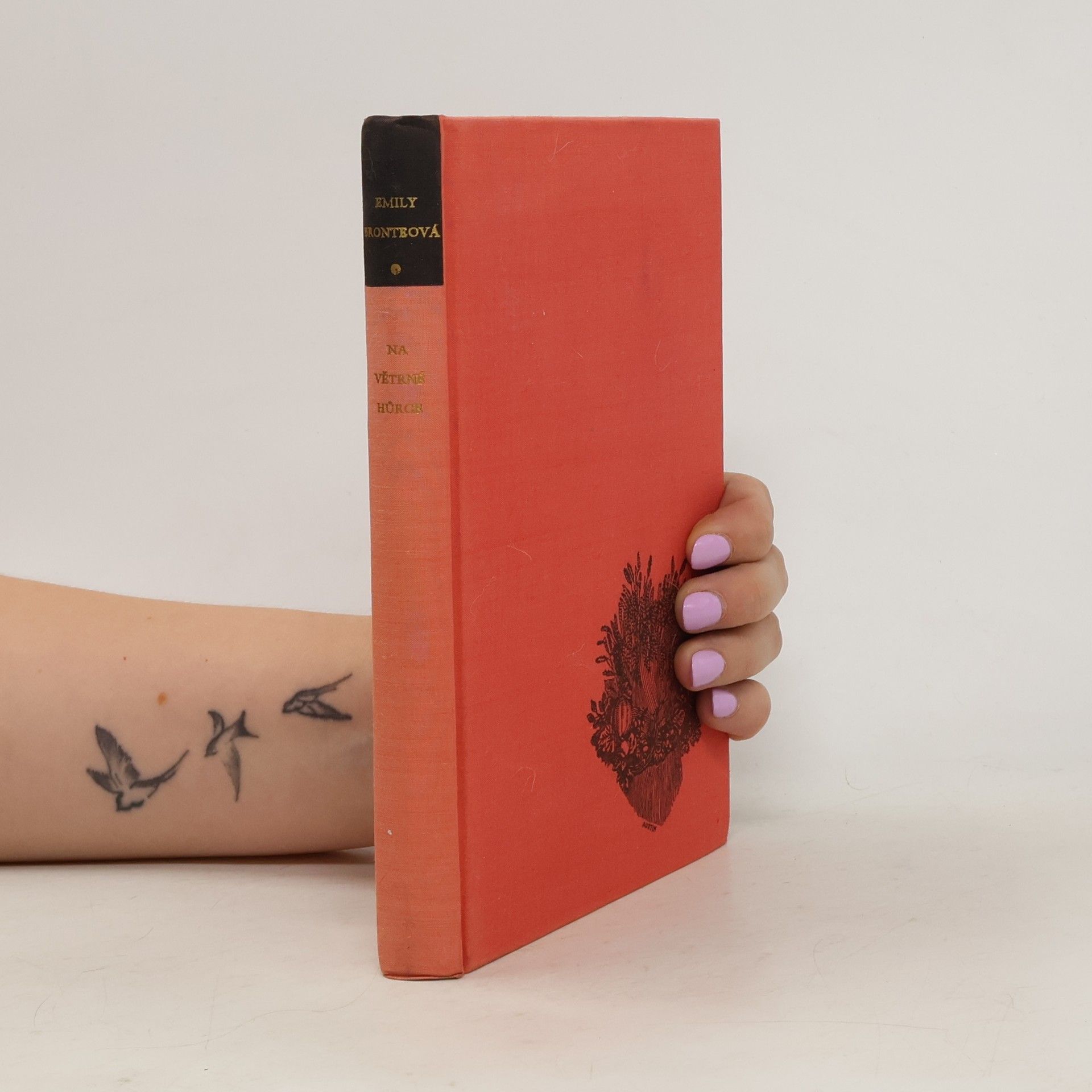 Emily Brontë Na Větrné hůrce