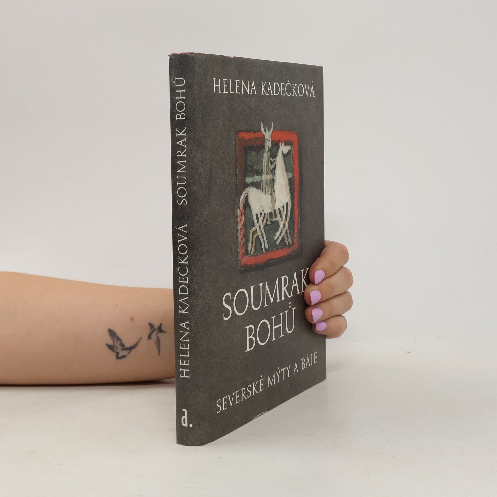 Autorenkollektiv Soumrak bohů. Severské mýty a báje