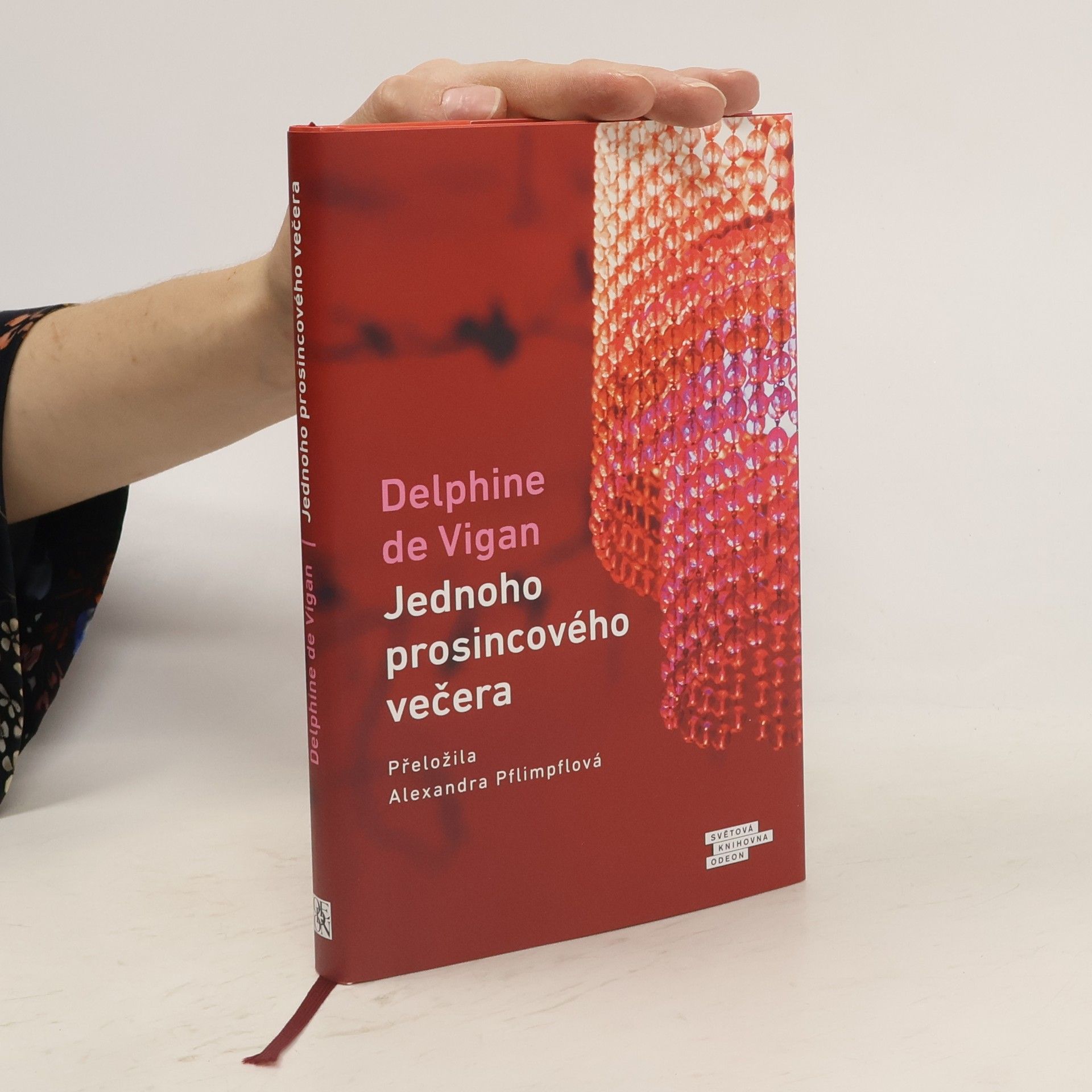 Delphine de Vigan Jednoho prosincového večera