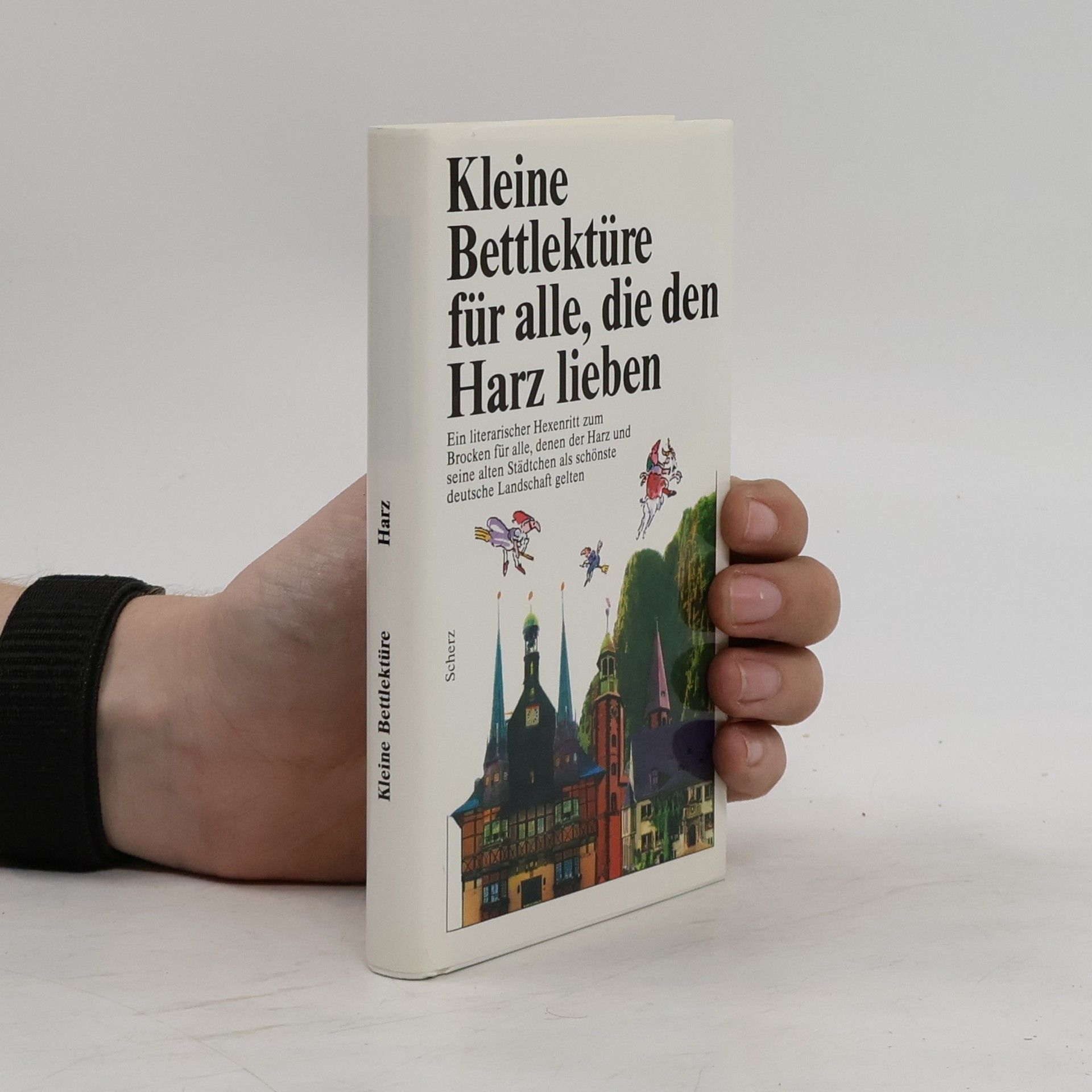 Dietmar Damwerth Kleine Bettlektüre für alle, die den Harz lieben