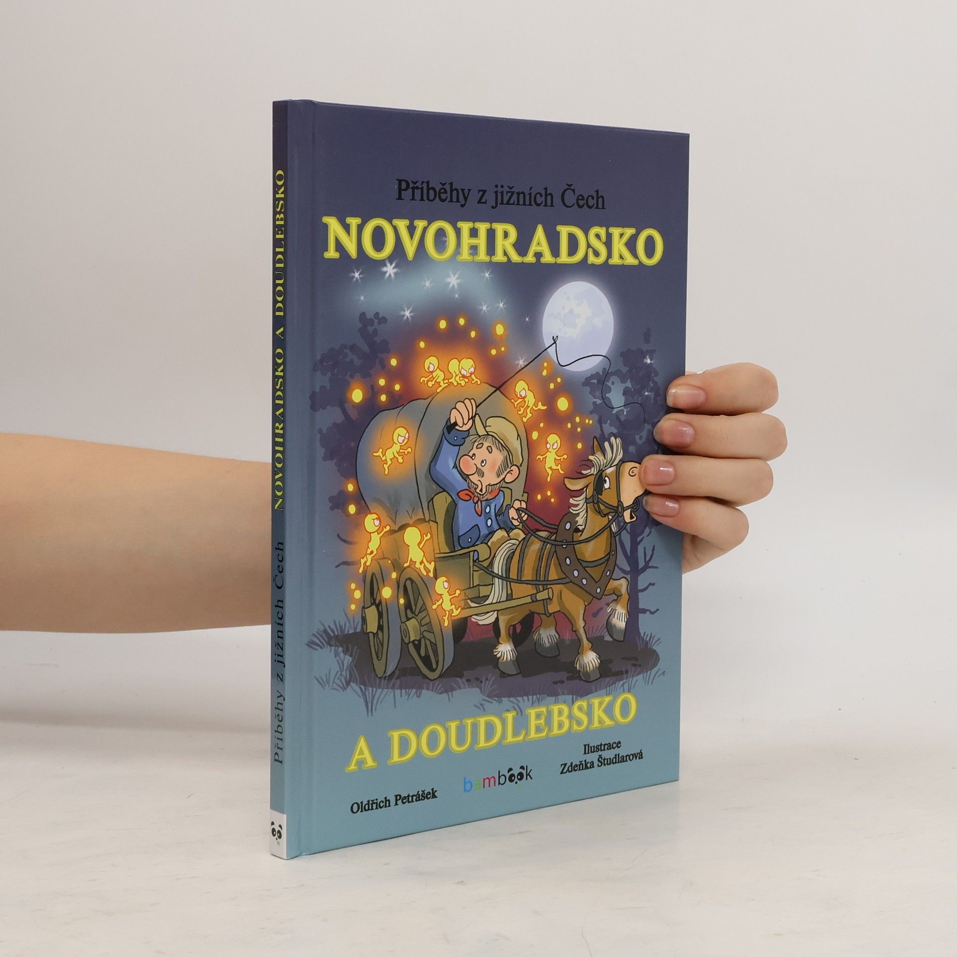 Oldřich Petrášek Příběhy z jižních Čech - Novohradsko a Doudlebsko
