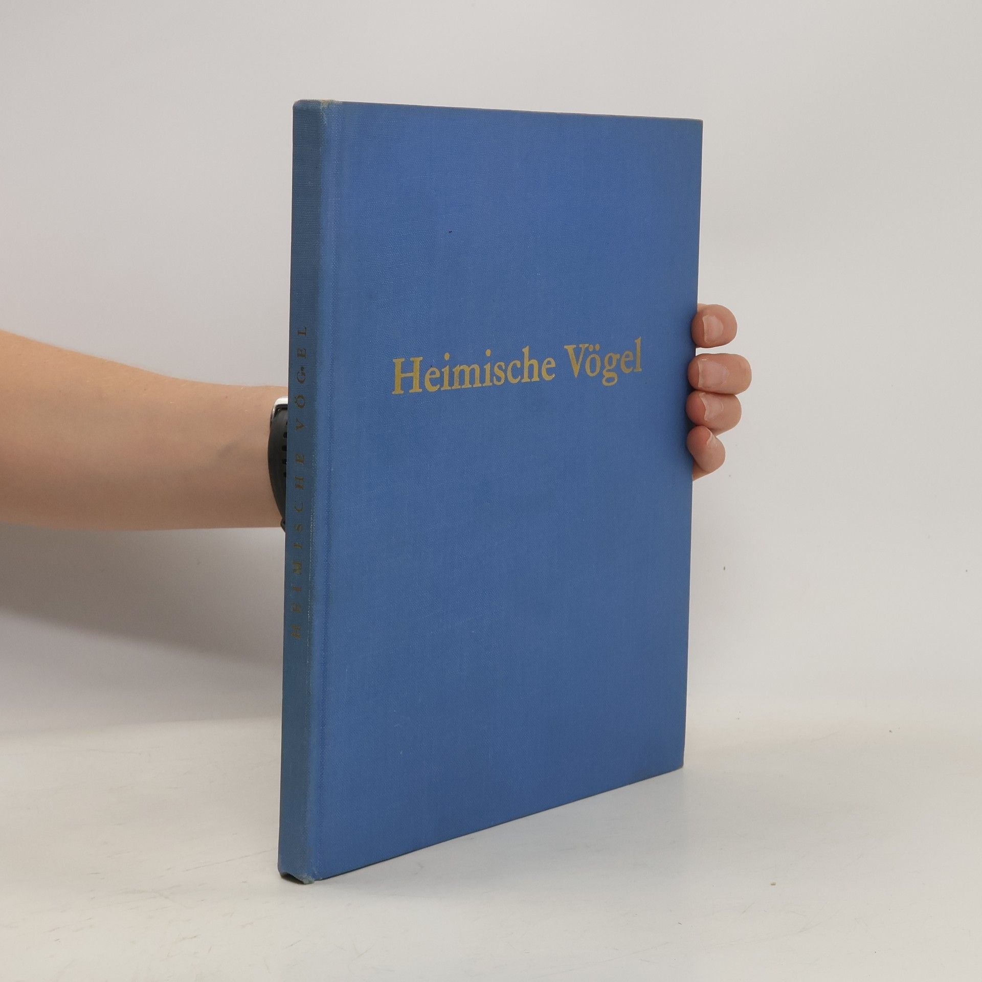 Autorenkollektiv Heimische Vögel