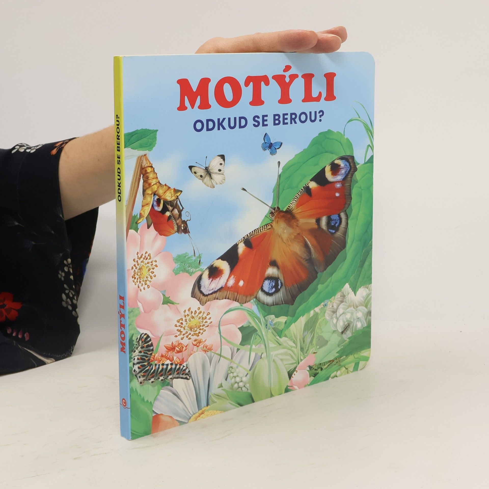 Collectif d'auteurs Motýli - Odkud se berou?