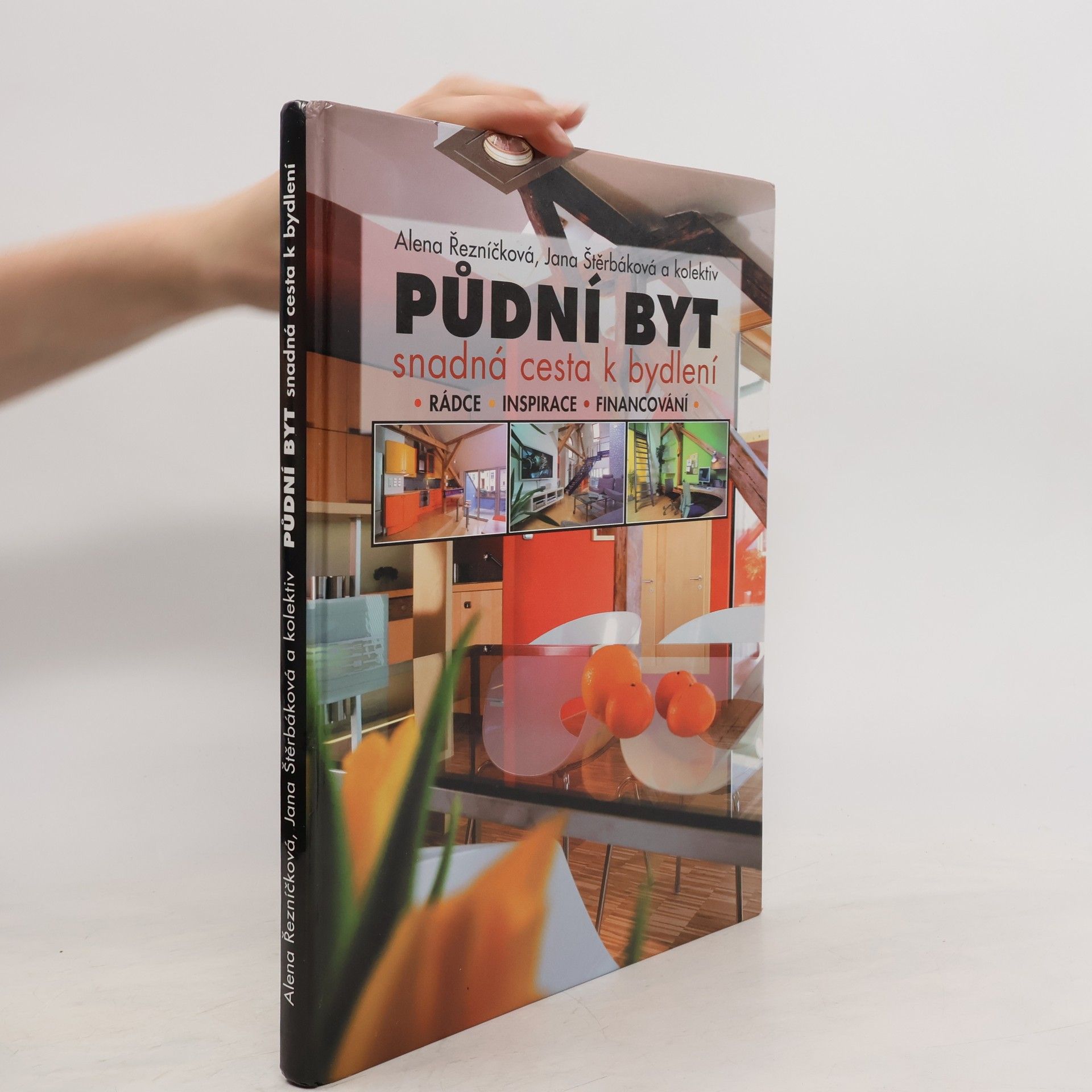 Alena Řezníčková Půdní byt: Snadná cesta k bydlení : rádce, inspirace, financování