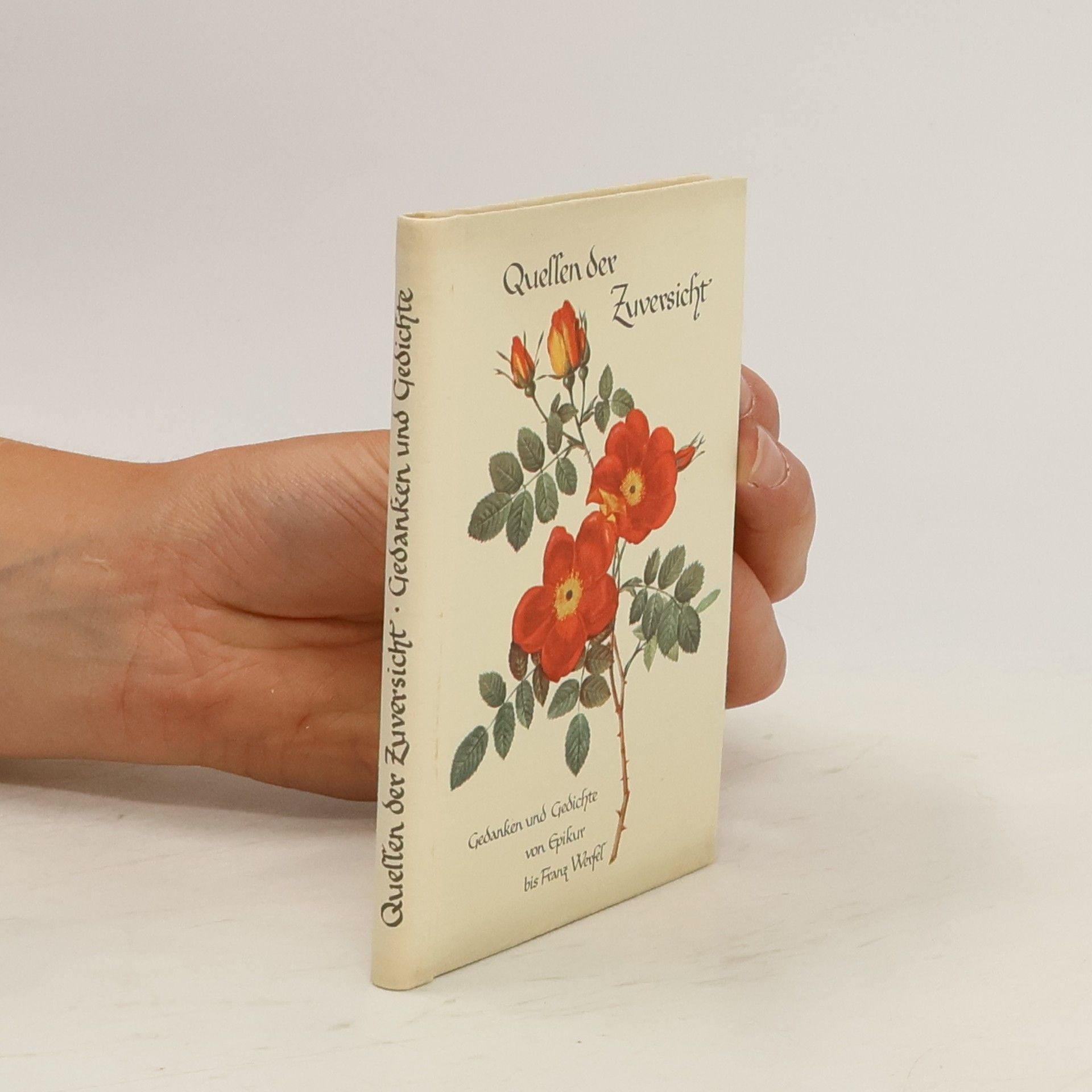 Autorenkollektiv Quellen der Zuversicht