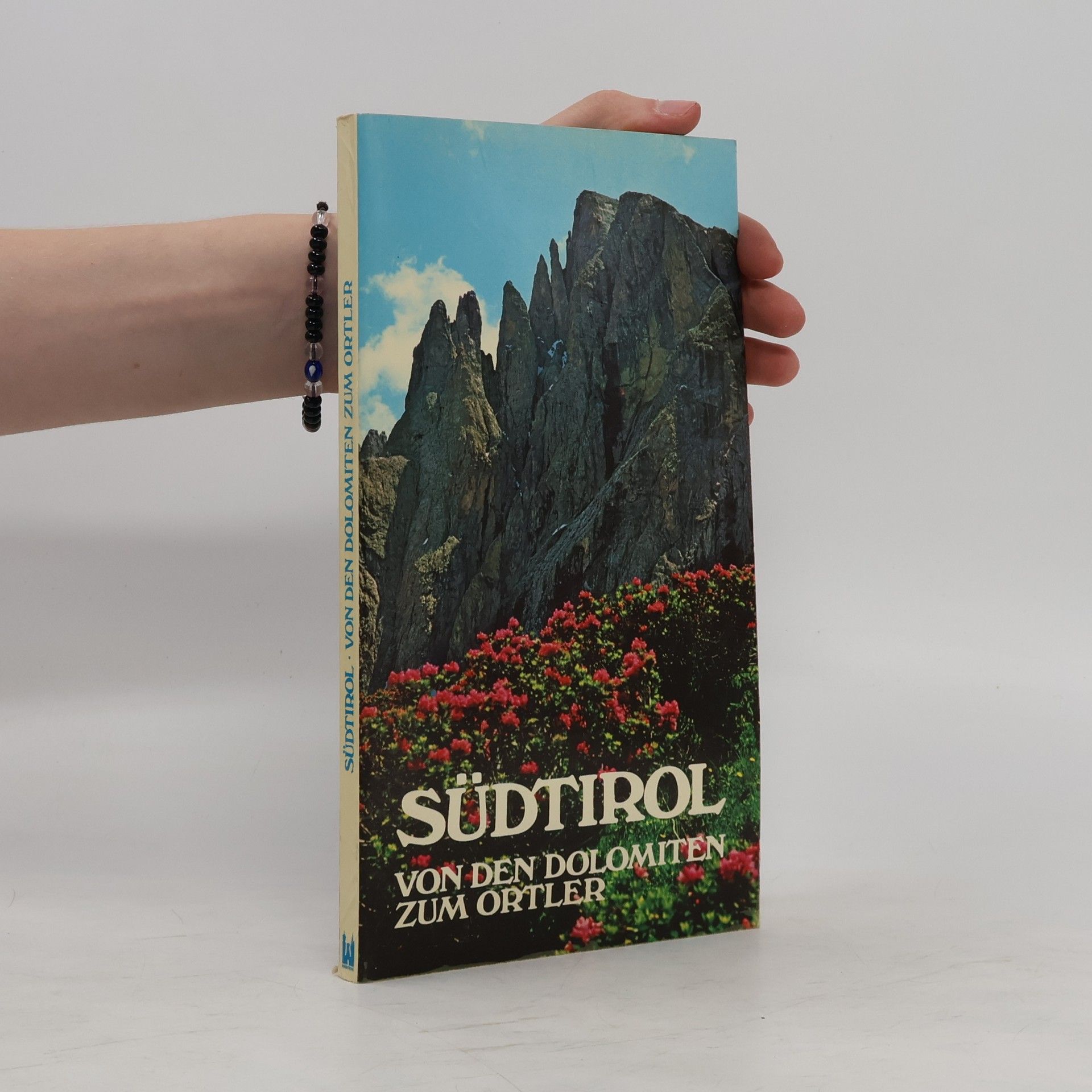 Franz Hieronymus Riedel Südtirol vom den Dolomiten zum Ortler