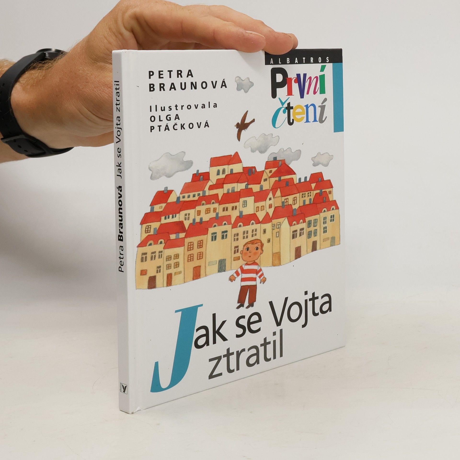 Petra Braun Groh Jak se Vojta ztratil