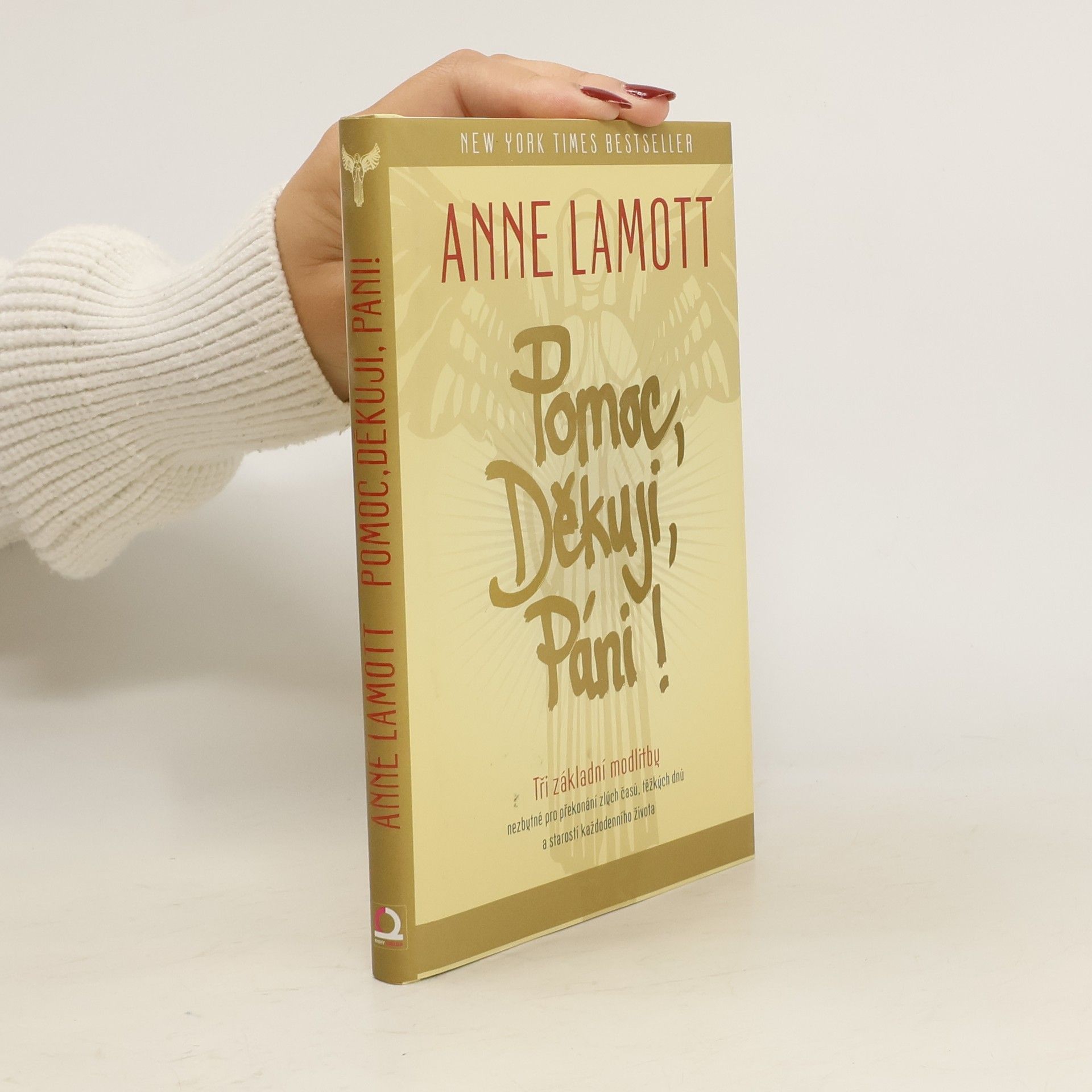 Anne Lamott Pomoc, Děkuji, Páni!