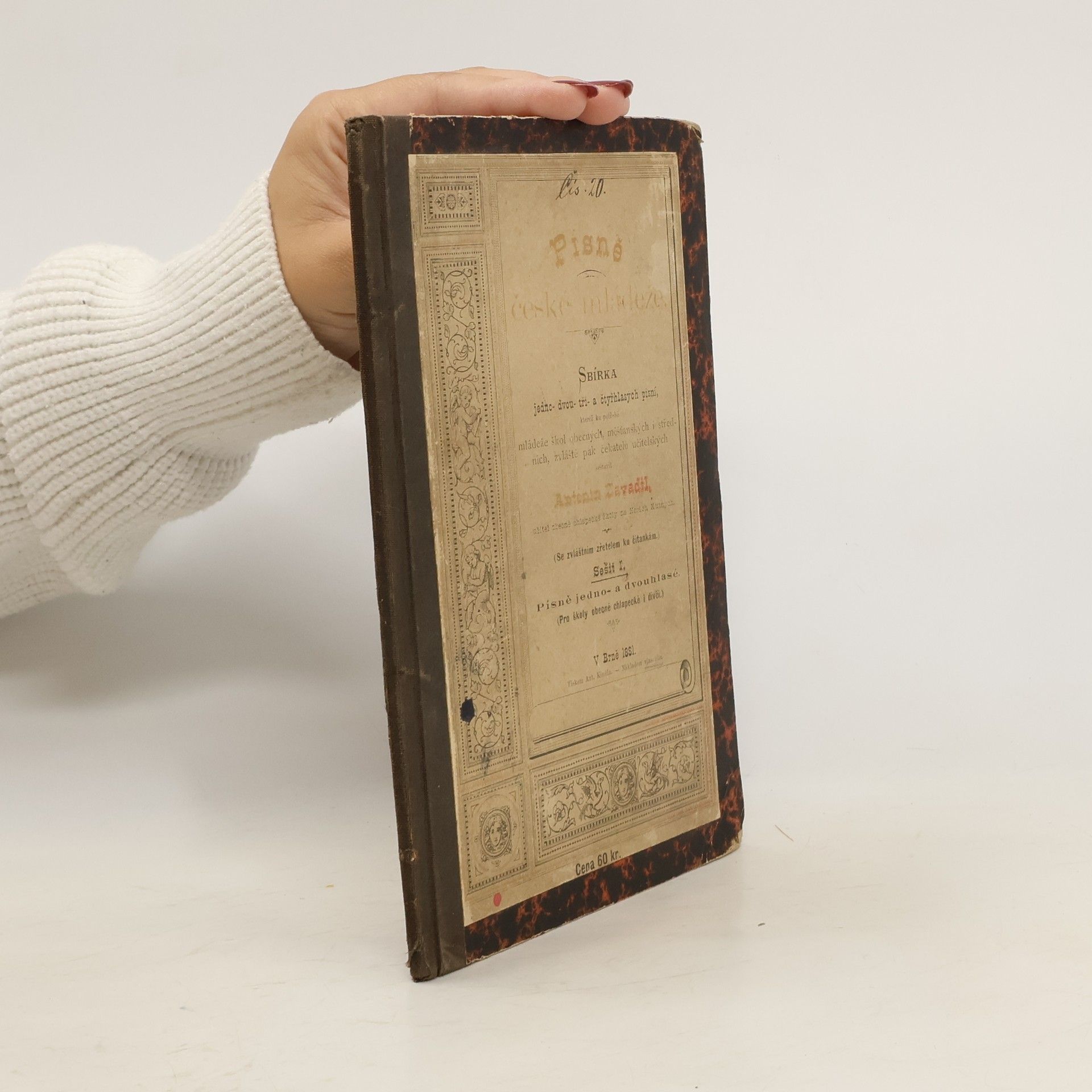 Písně české mládeže