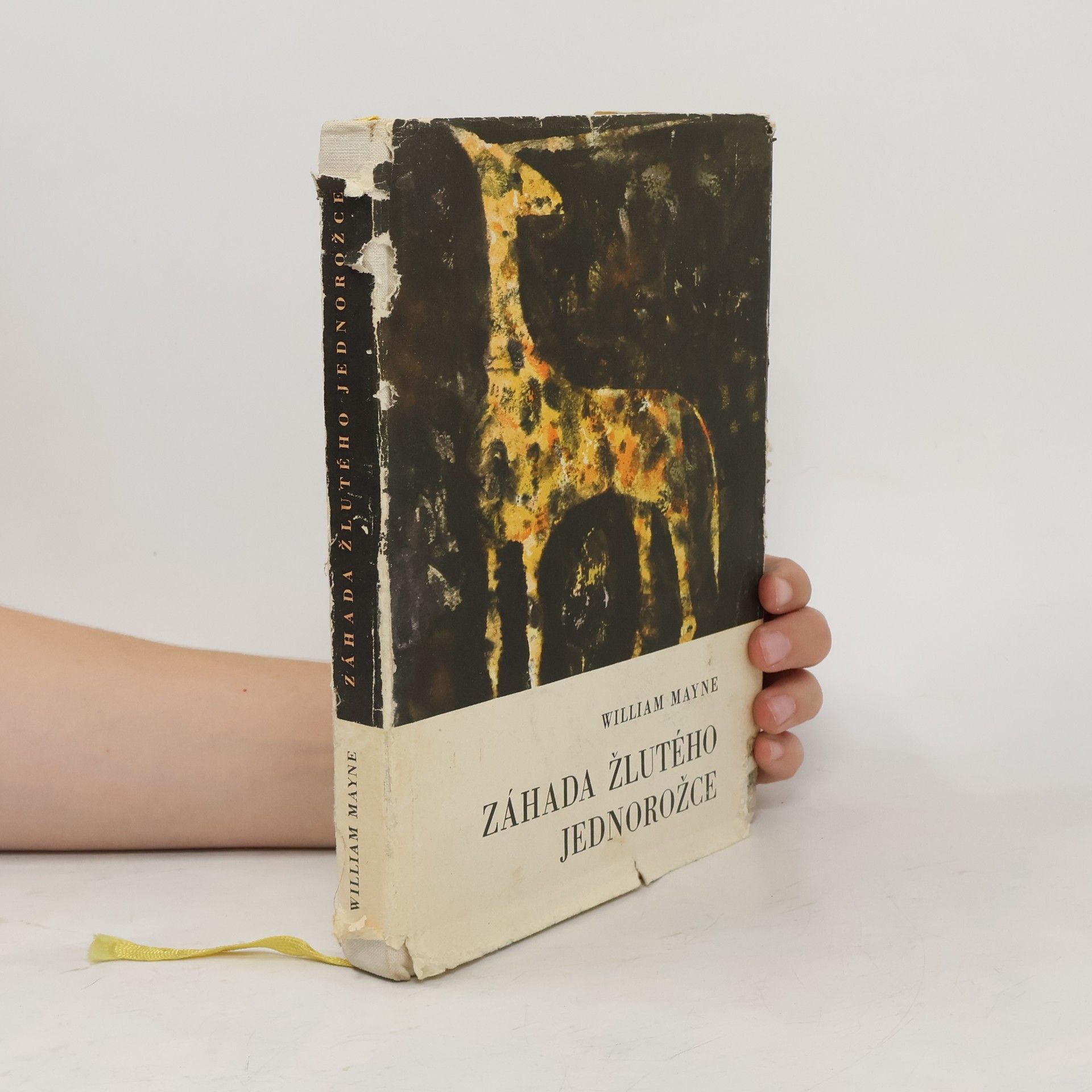 William Mayne Záhada žlutého jednorožce