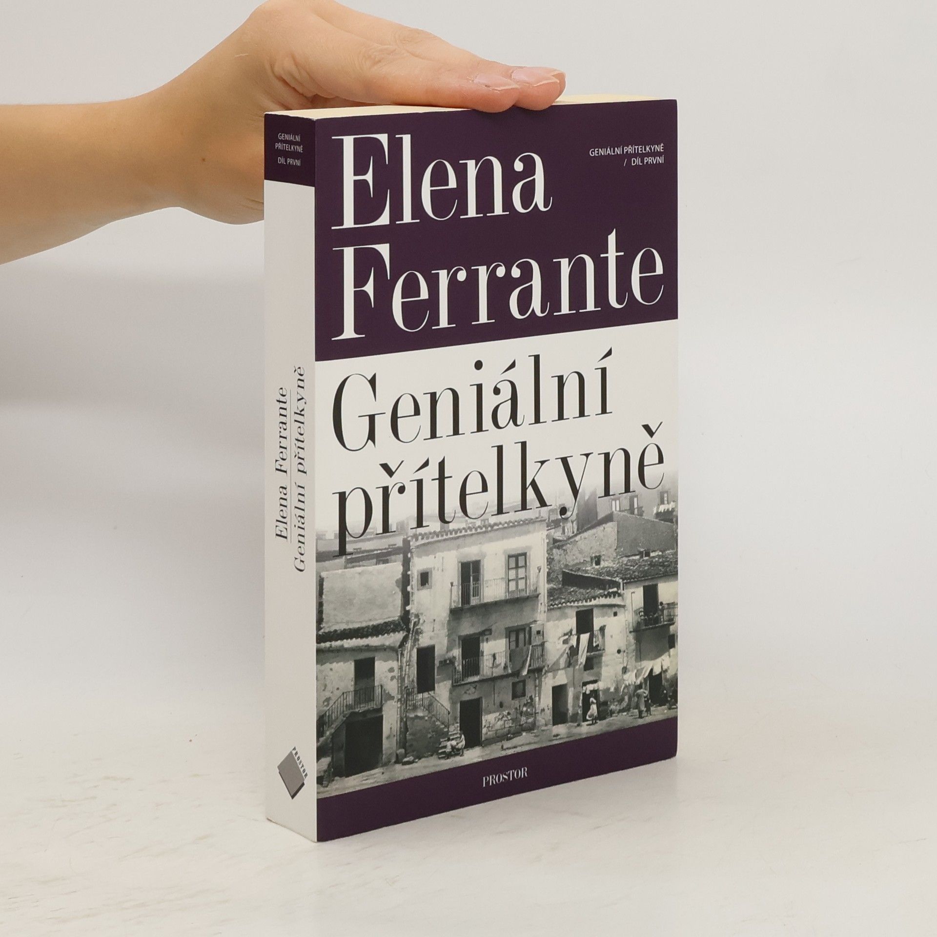 Elena Ferrante Geniální přítelkyně 1. Dětství a dospívání