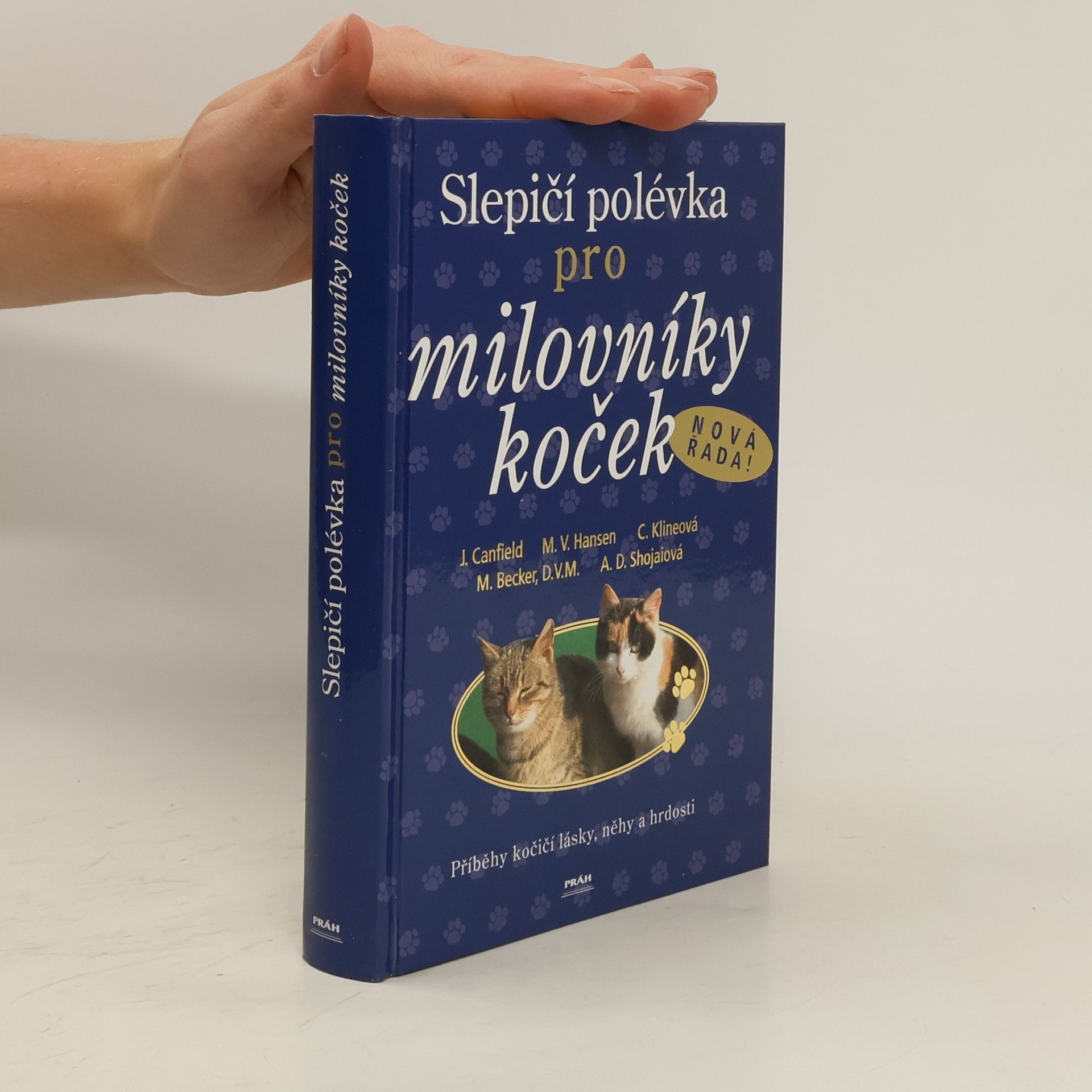 Jack Canfield Slepičí polévka pro milovníky koček: Příběhy o kočičí věrnosti, radosti i odvaze
