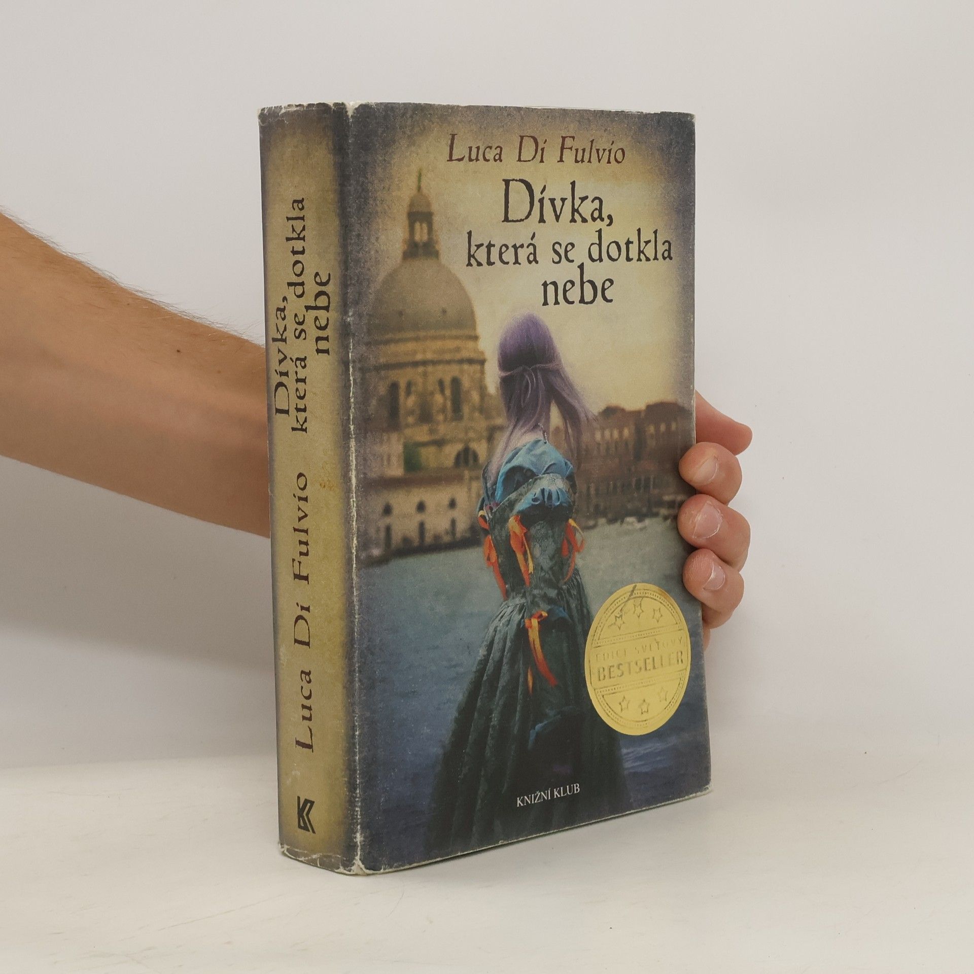 Luca Di Fulvio Dívka, která se dotkla nebe