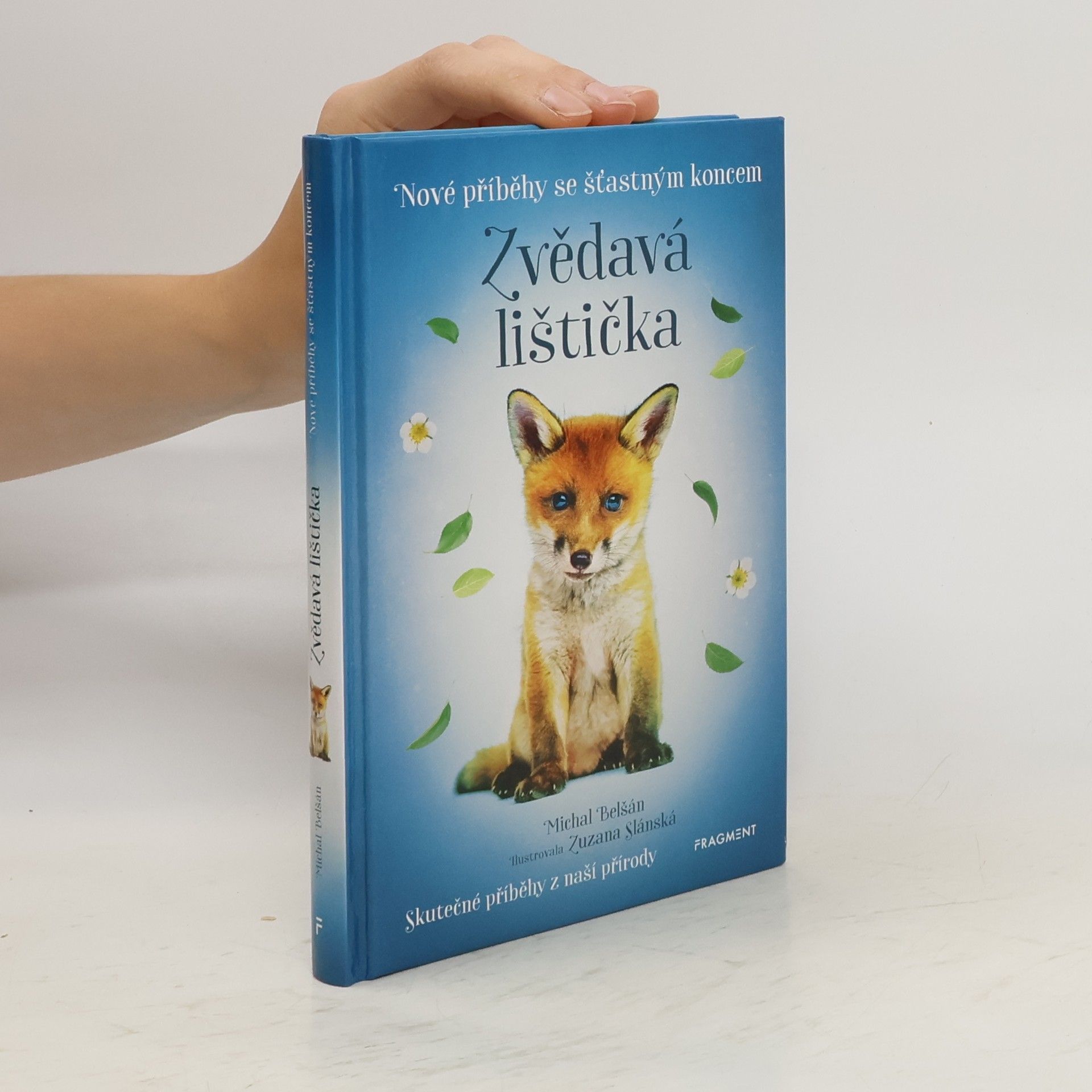 Michal Belšán Zvědavá lištička