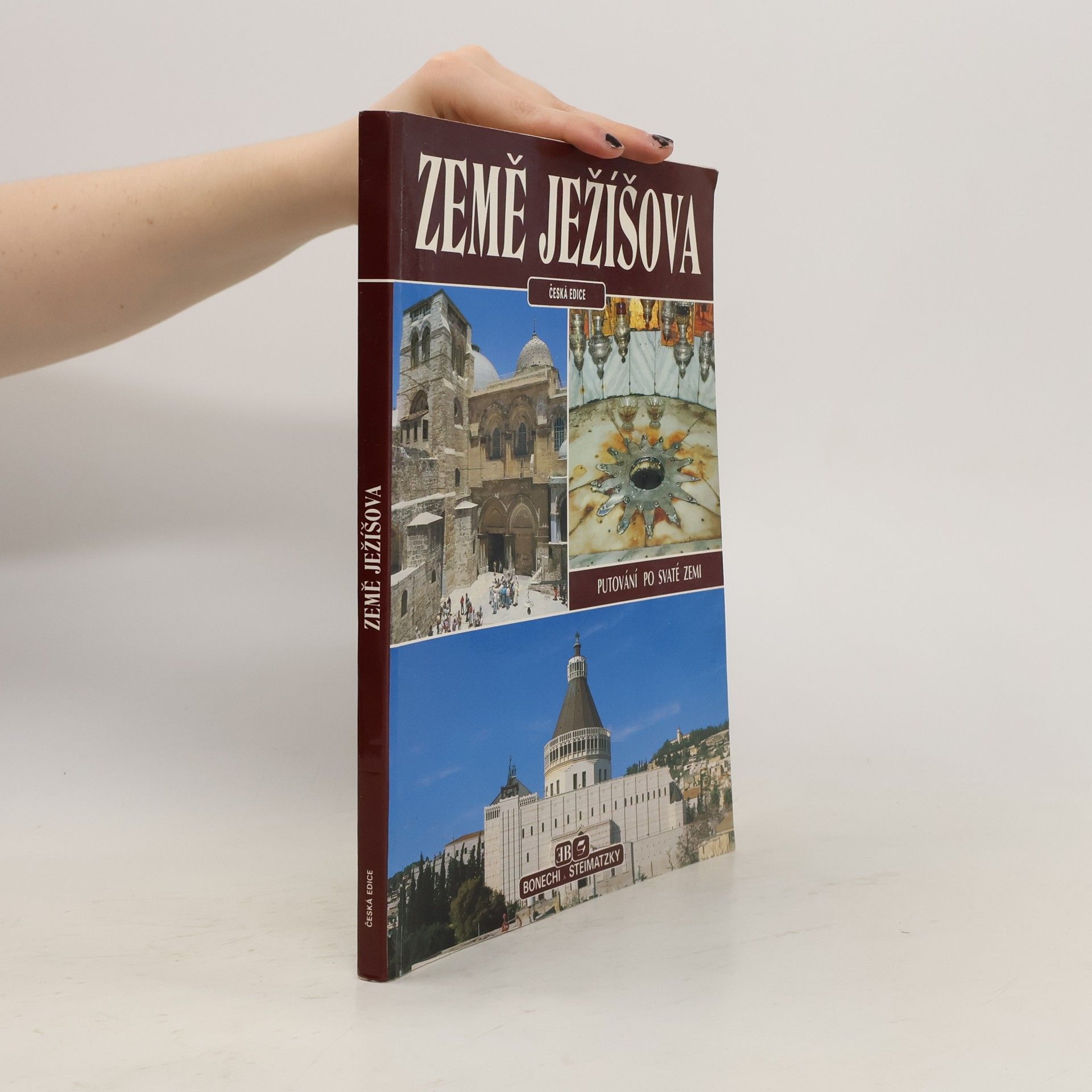 František Vácha Země Ježíšova: Putování po Svaté zemi