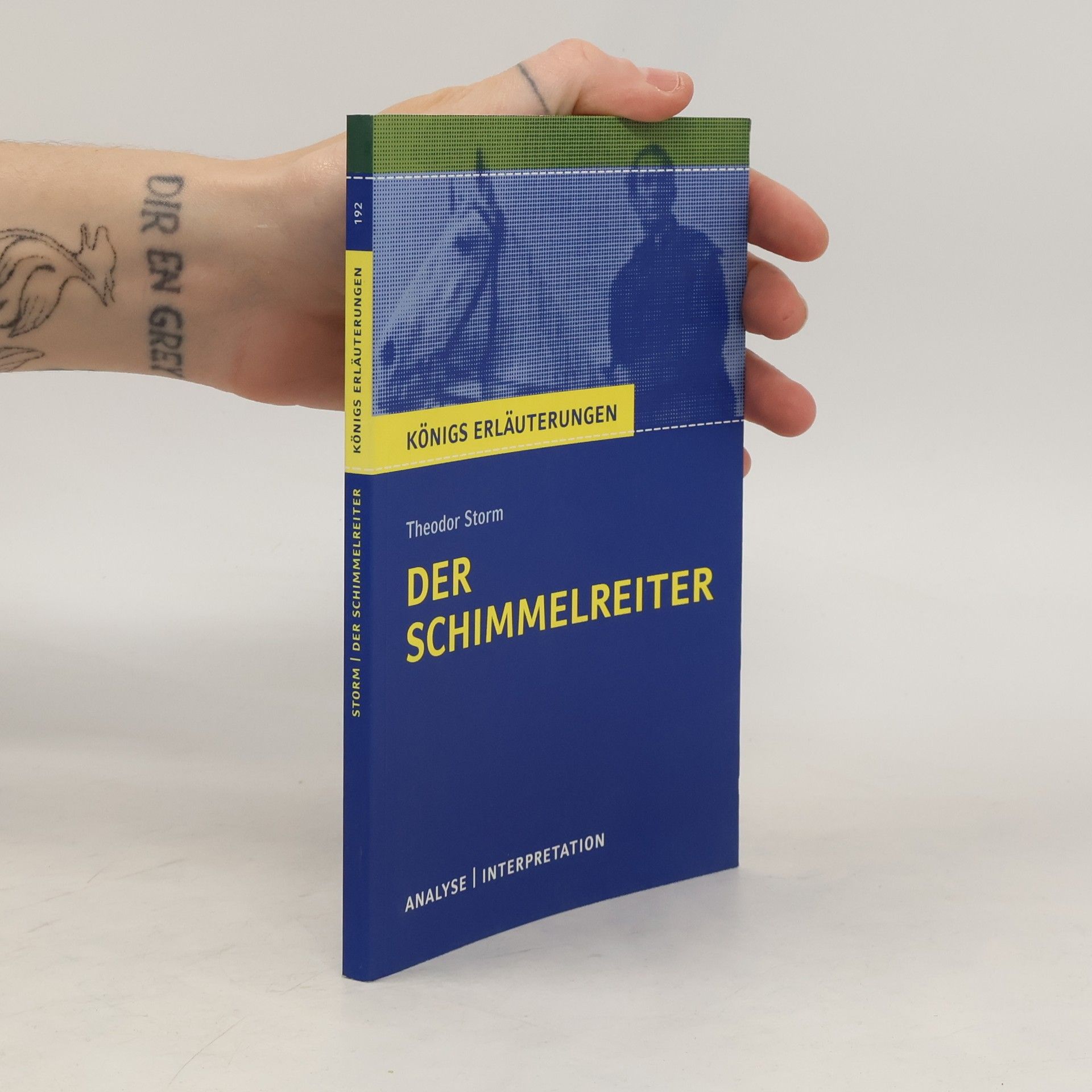 Martin Lowsky Textanalyse und Interpretation zu Theodor Storm, Der Schimmelreiter