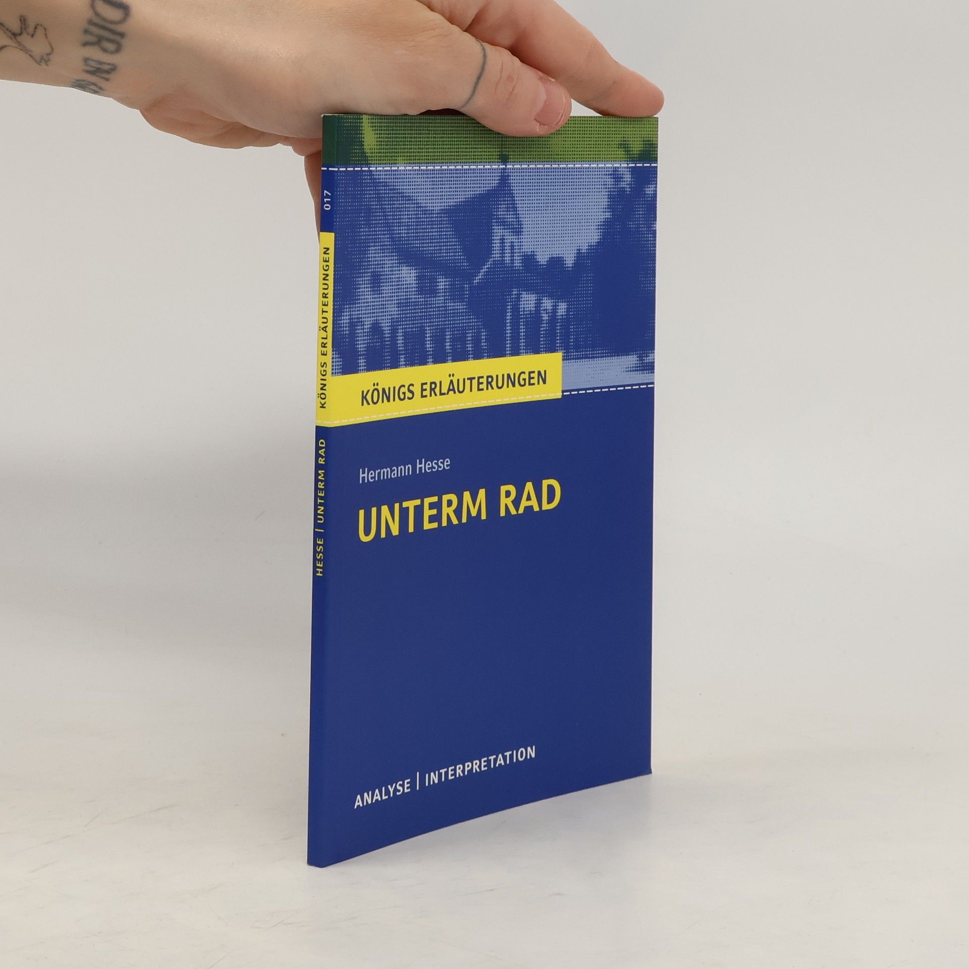 Hermann Hesse Unterm Rad. Analyse und Interpretation