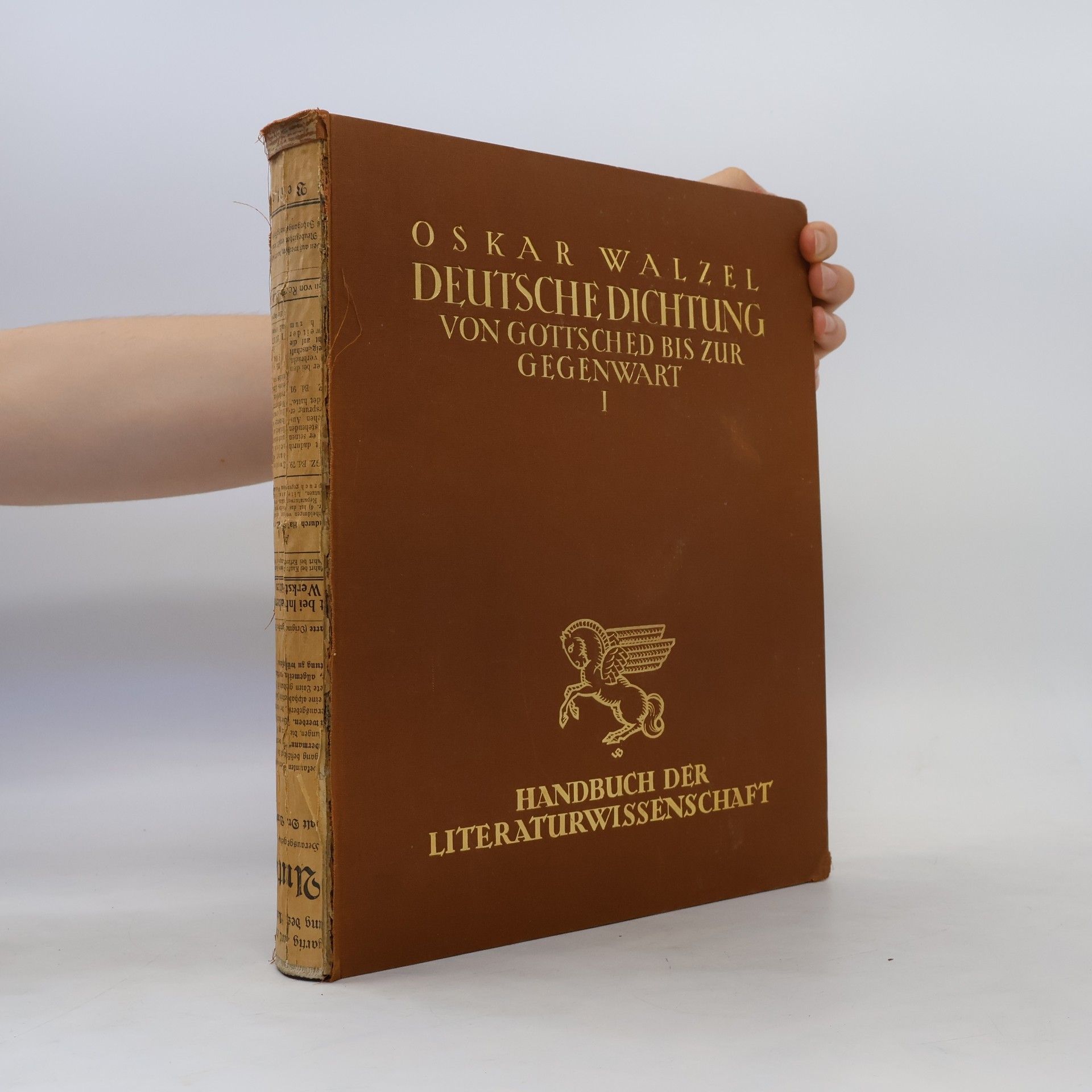 Oskar Franz Walzel Deutsche Dichtung von Gottsched bis zur Gegenwart I