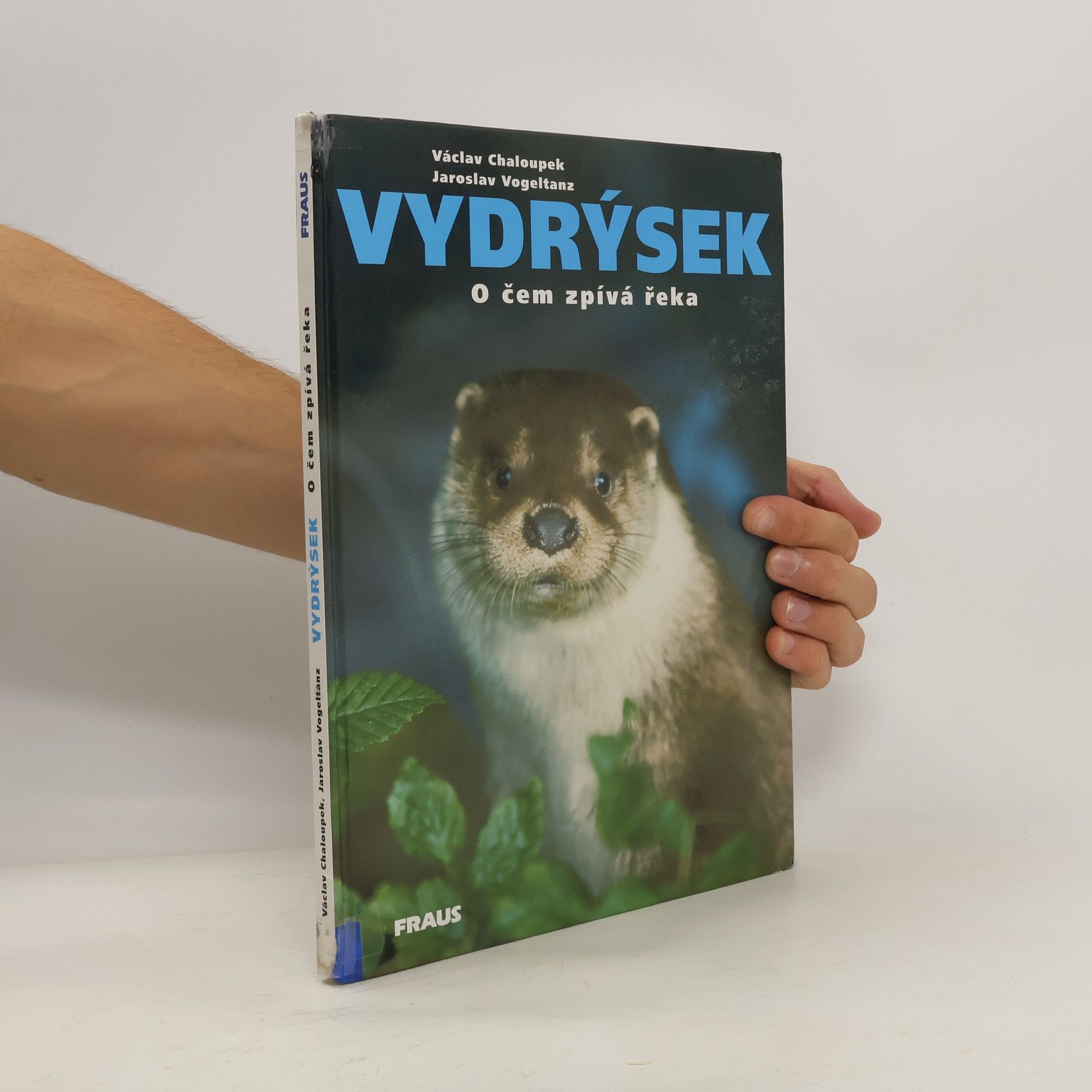 Jaroslav Vogeltanz Vydrýsek. O čem zpívá řeka