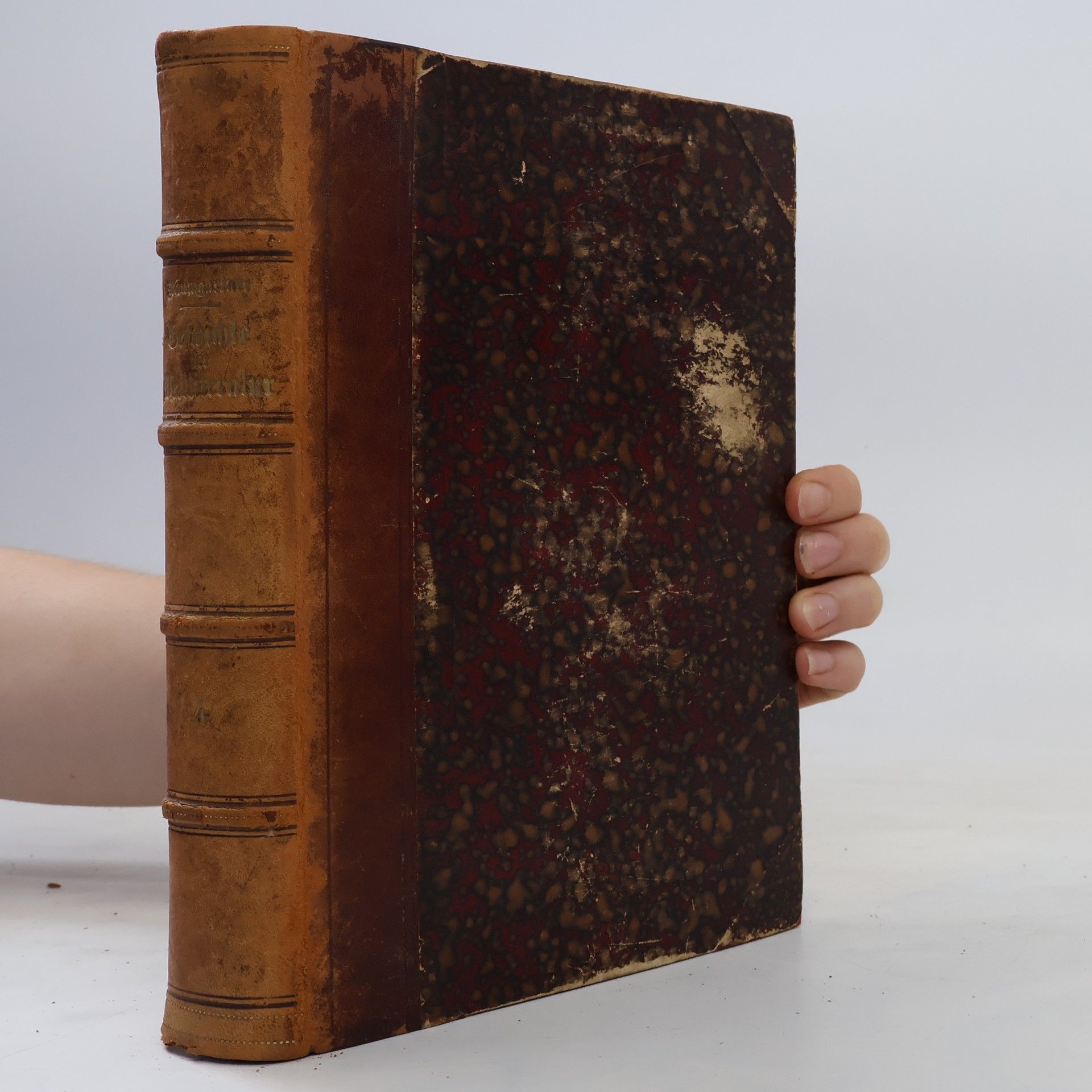Alexander Baumgartner Geschichte Weltliteratur IV. Die lateinische und griechische Literatur