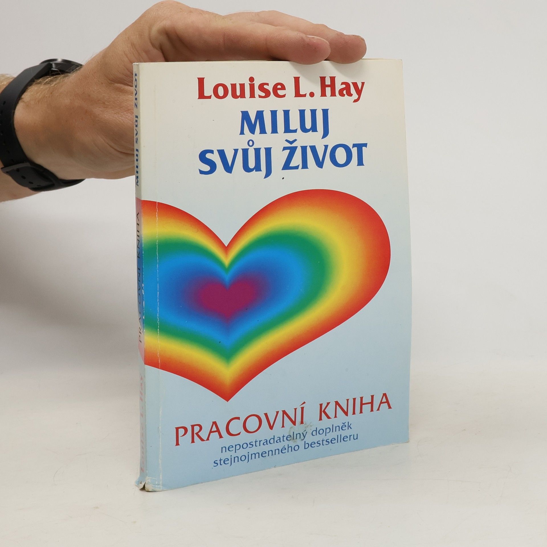 Louise Lynn Hay Miluj svůj život. Pracovní kniha