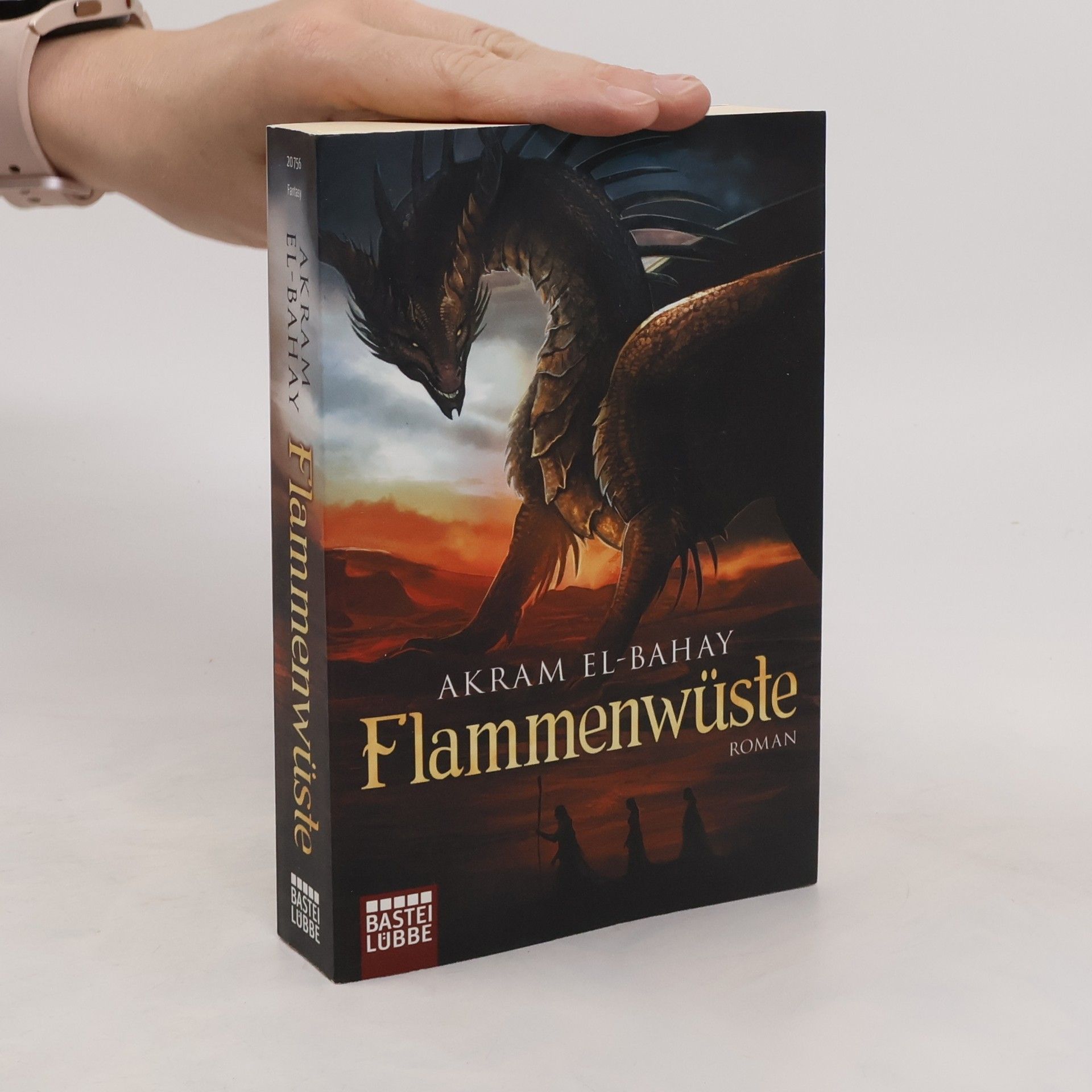 Akram El-Bahay Flammenwüste