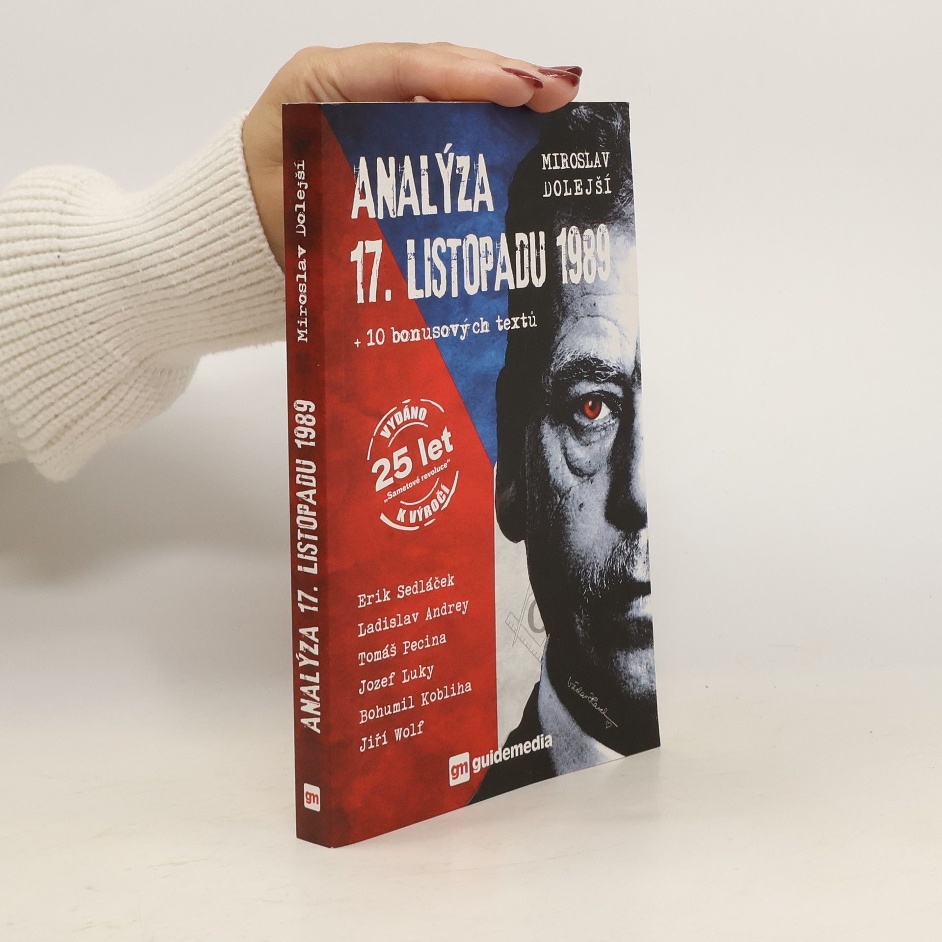 Miroslav Dolejší Analýza 17. listopadu 1989