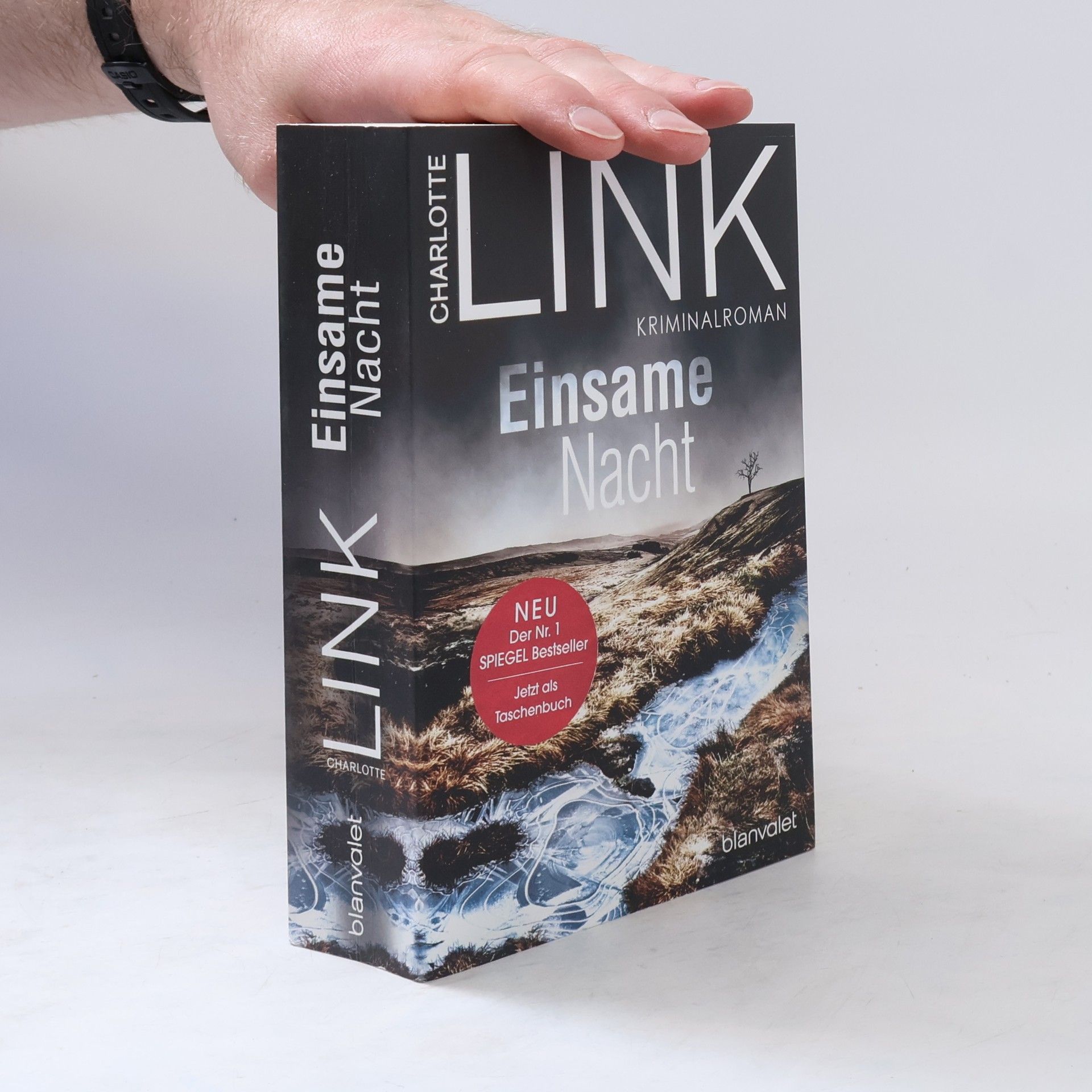 Charlotte Link Einsame Nacht