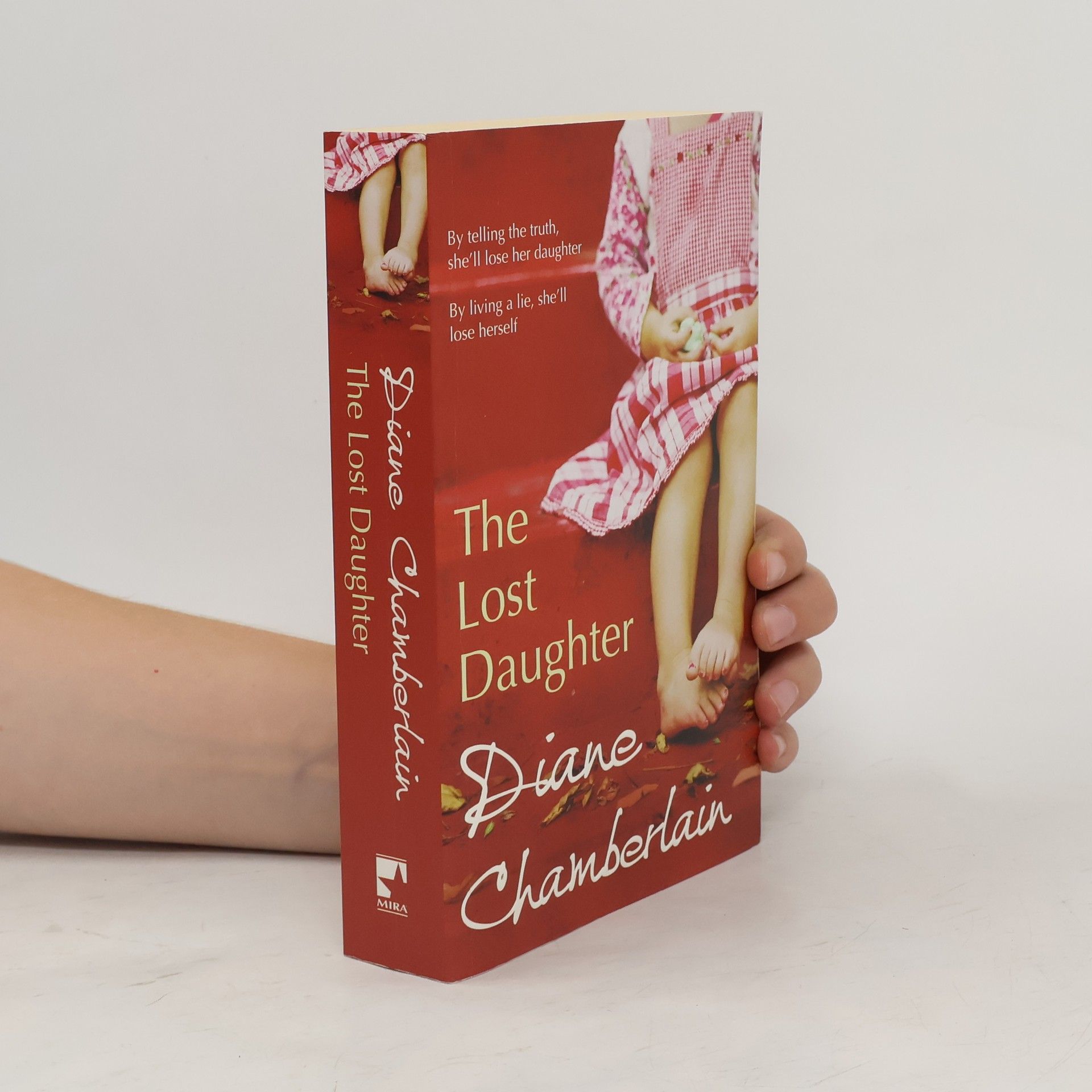 Diane Chamberlain The Lost Daughter