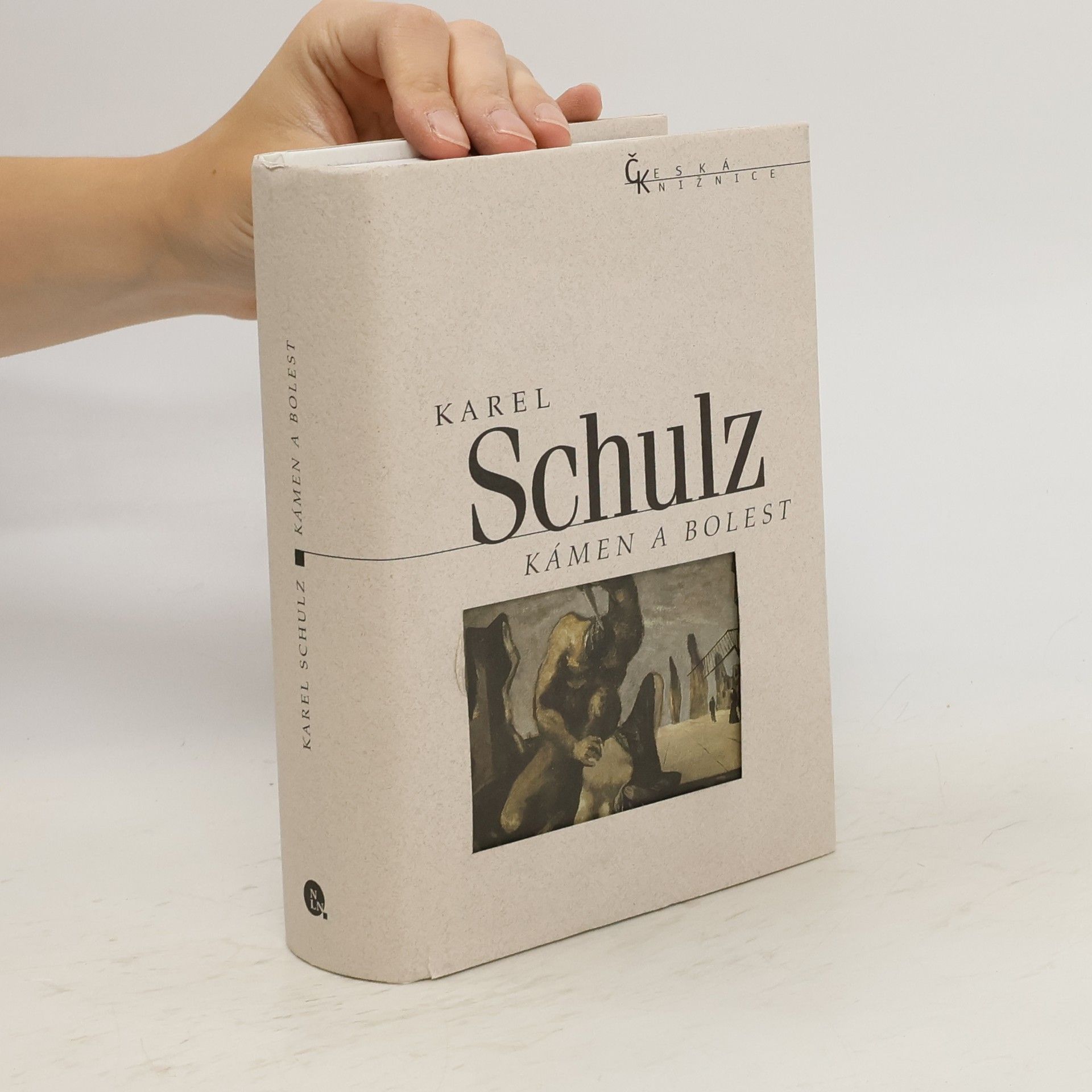 Karel Schulz Kámen a bolest
