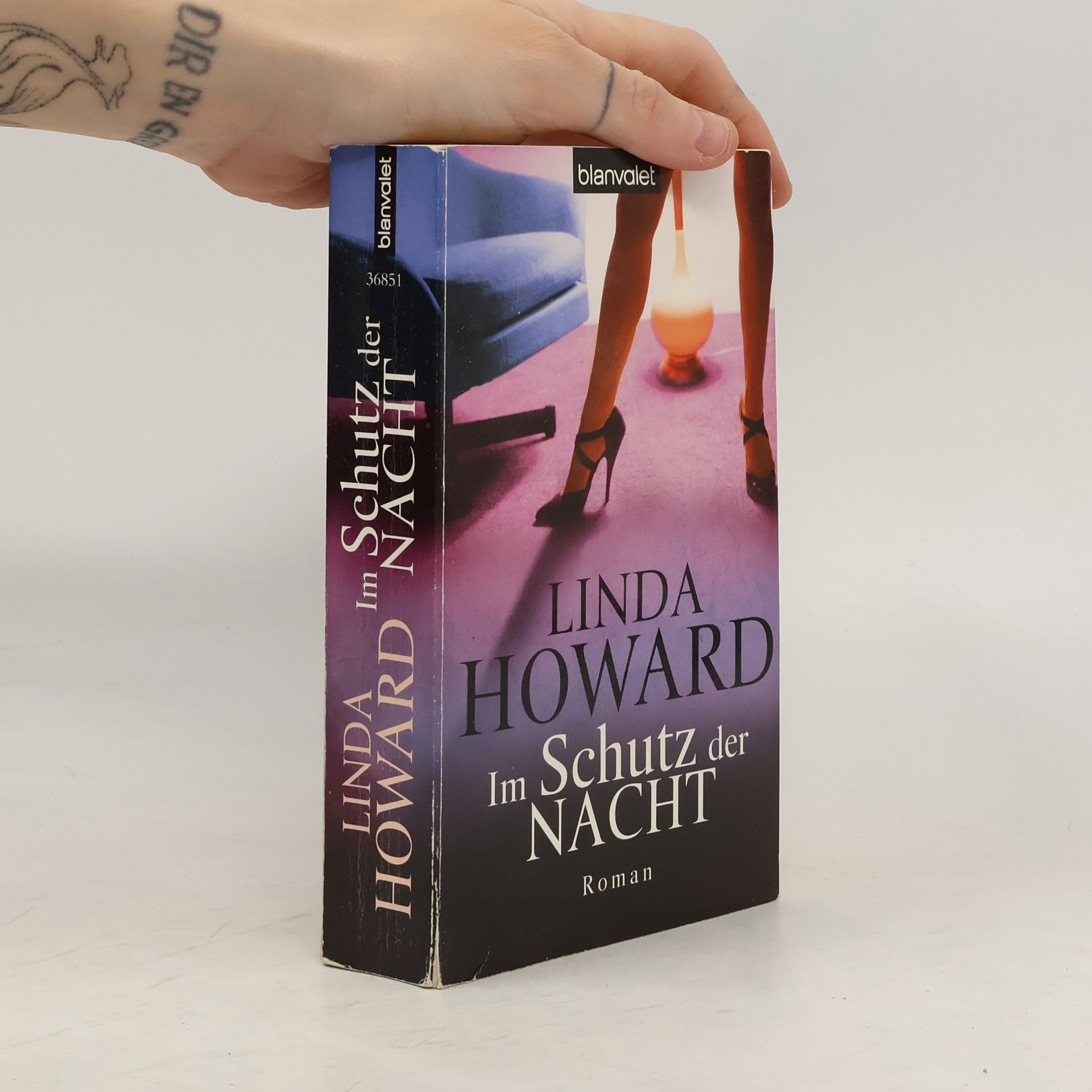 Linda Howard Im Schutz der Nacht